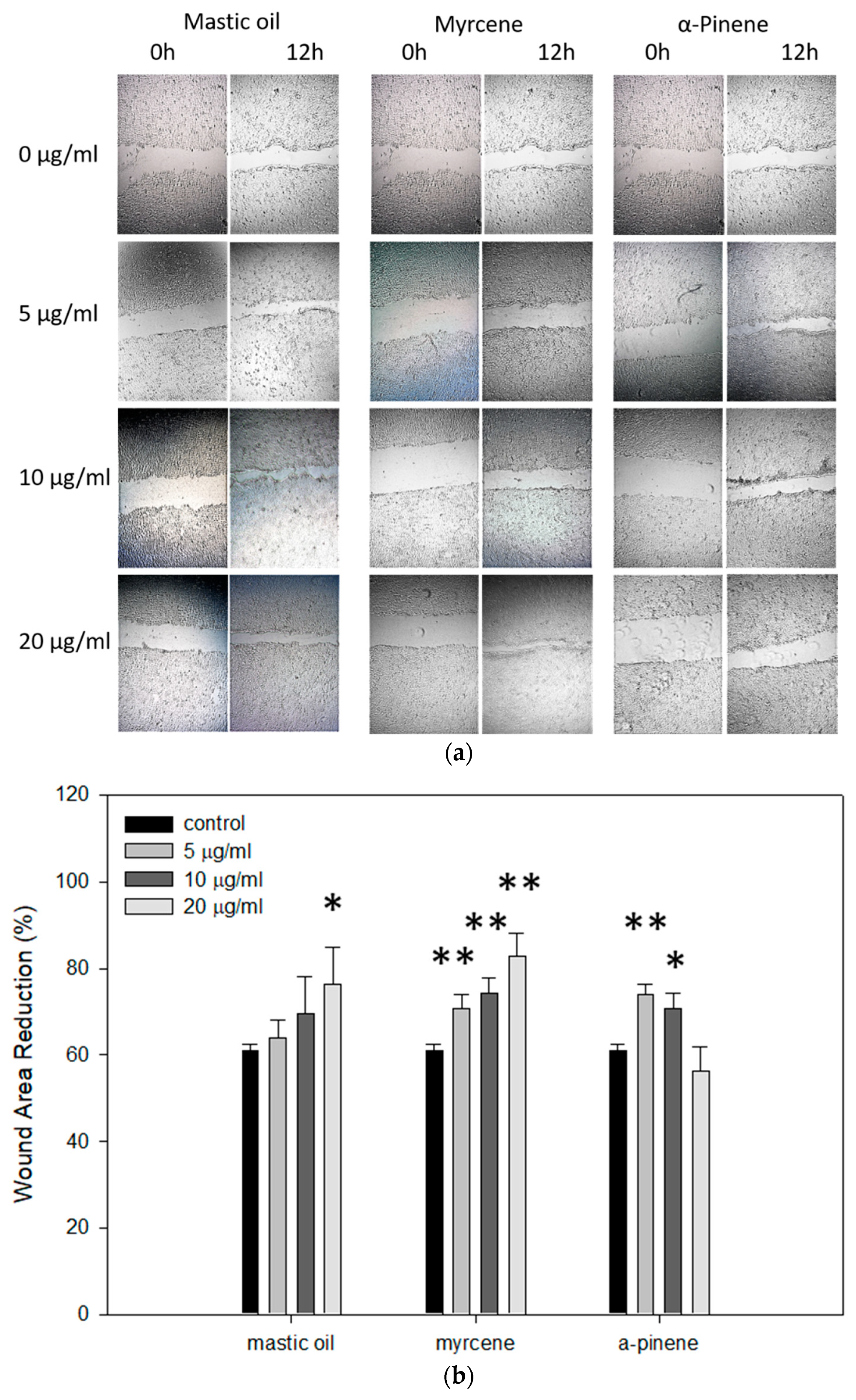 Antioxidants 10 00127 g006