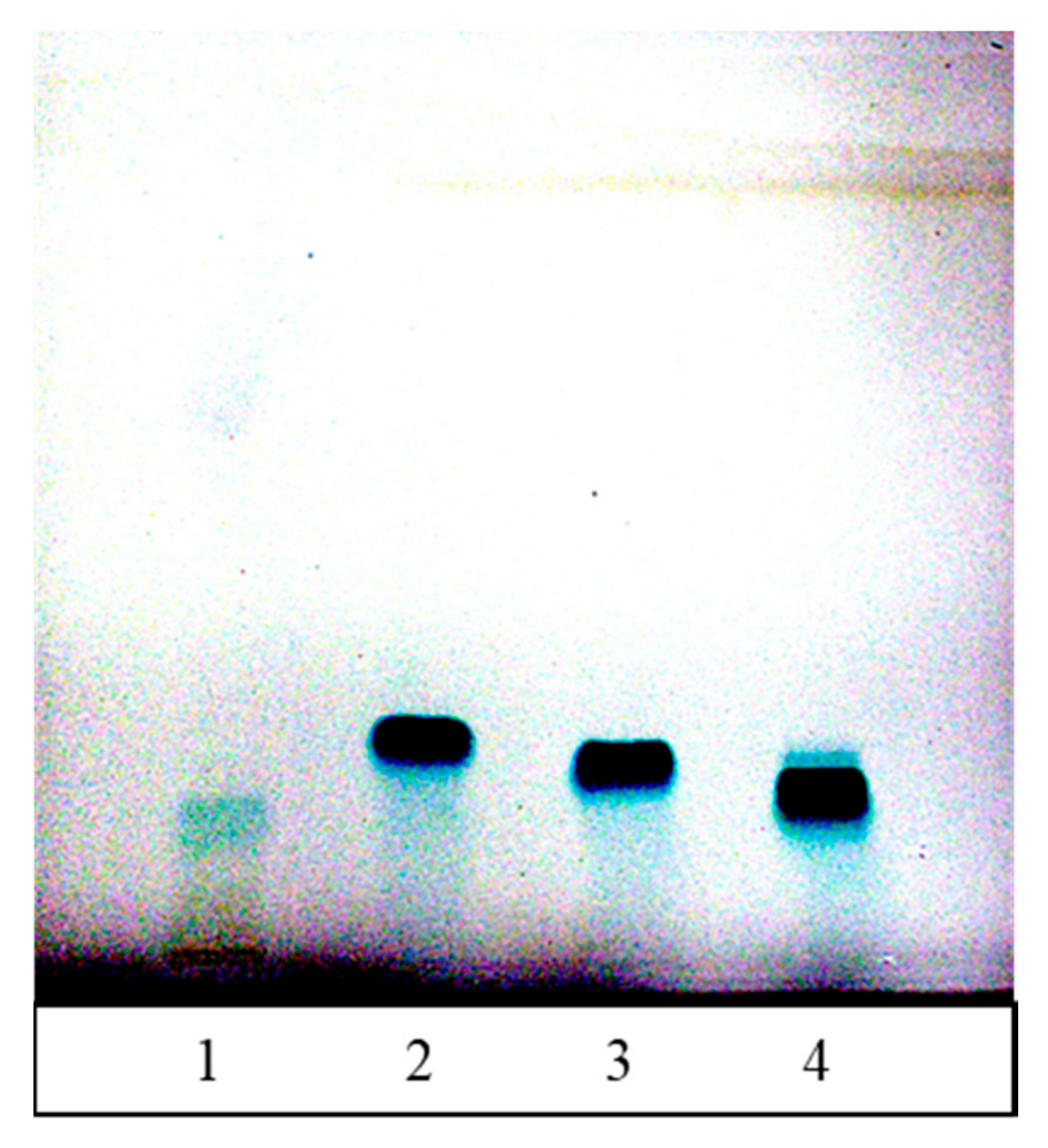 Antioxidants 10 00133 g008