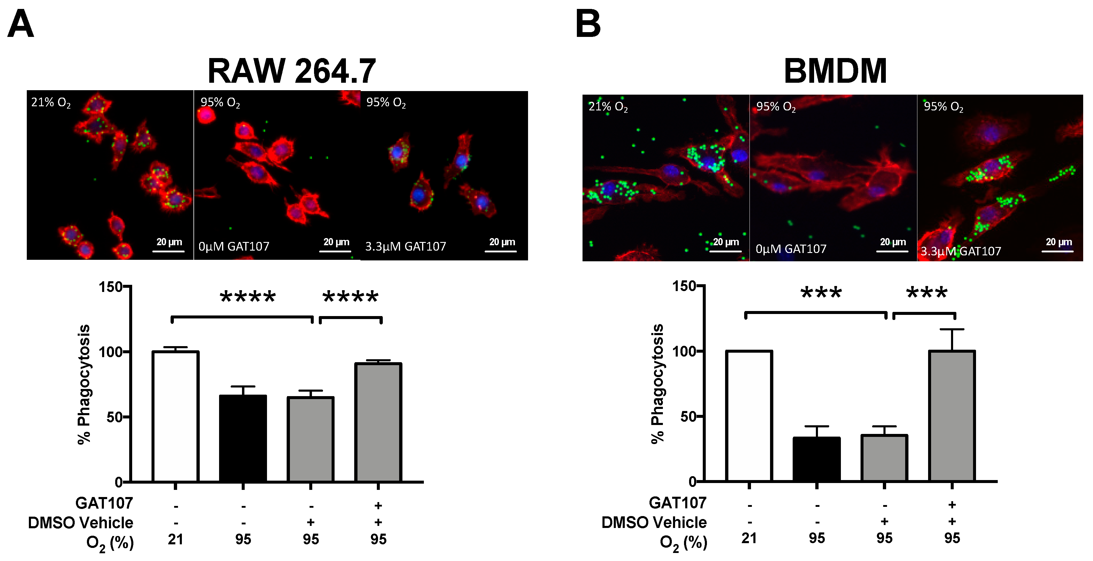 Antioxidants 10 00135 g002 Antioxidants 10 00135 g002