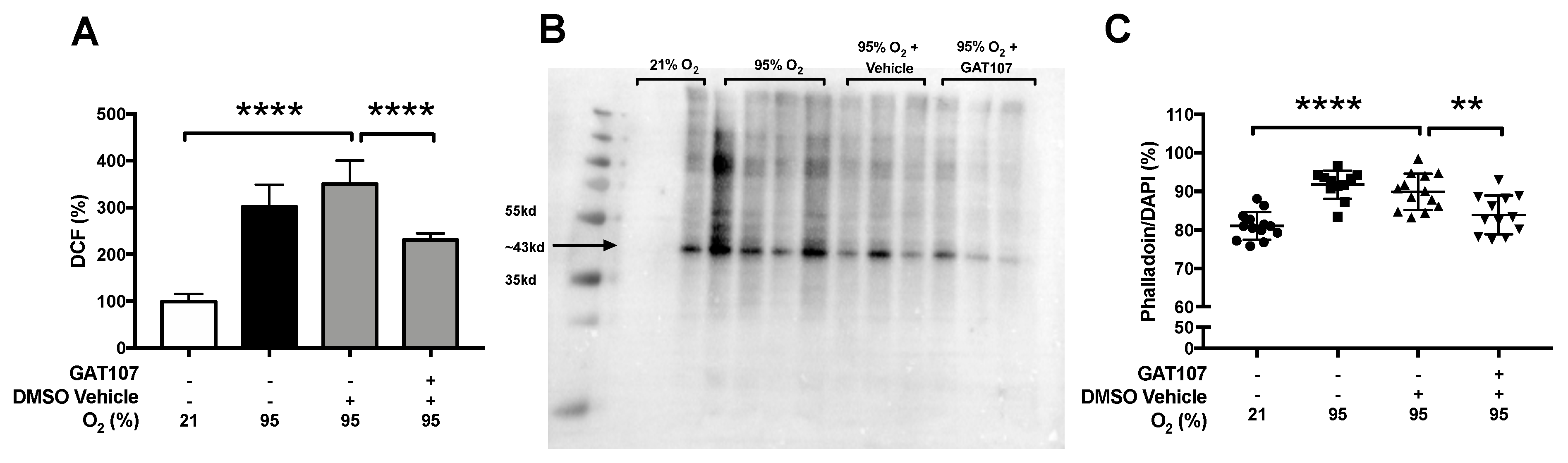 Antioxidants 10 00135 g003 Antioxidants 10 00135 g003