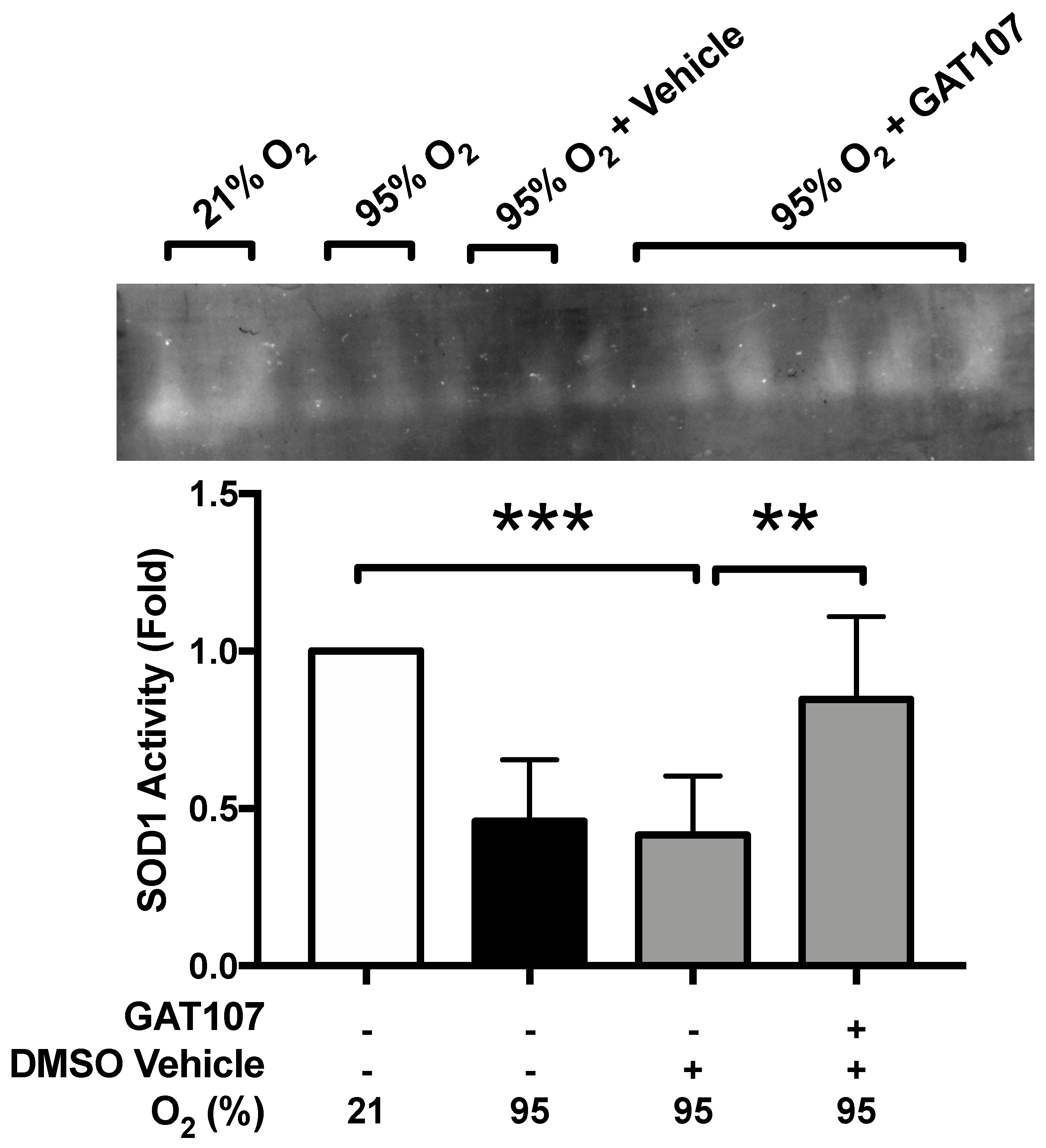 Antioxidants 10 00135 g004 Antioxidants 10 00135 g004