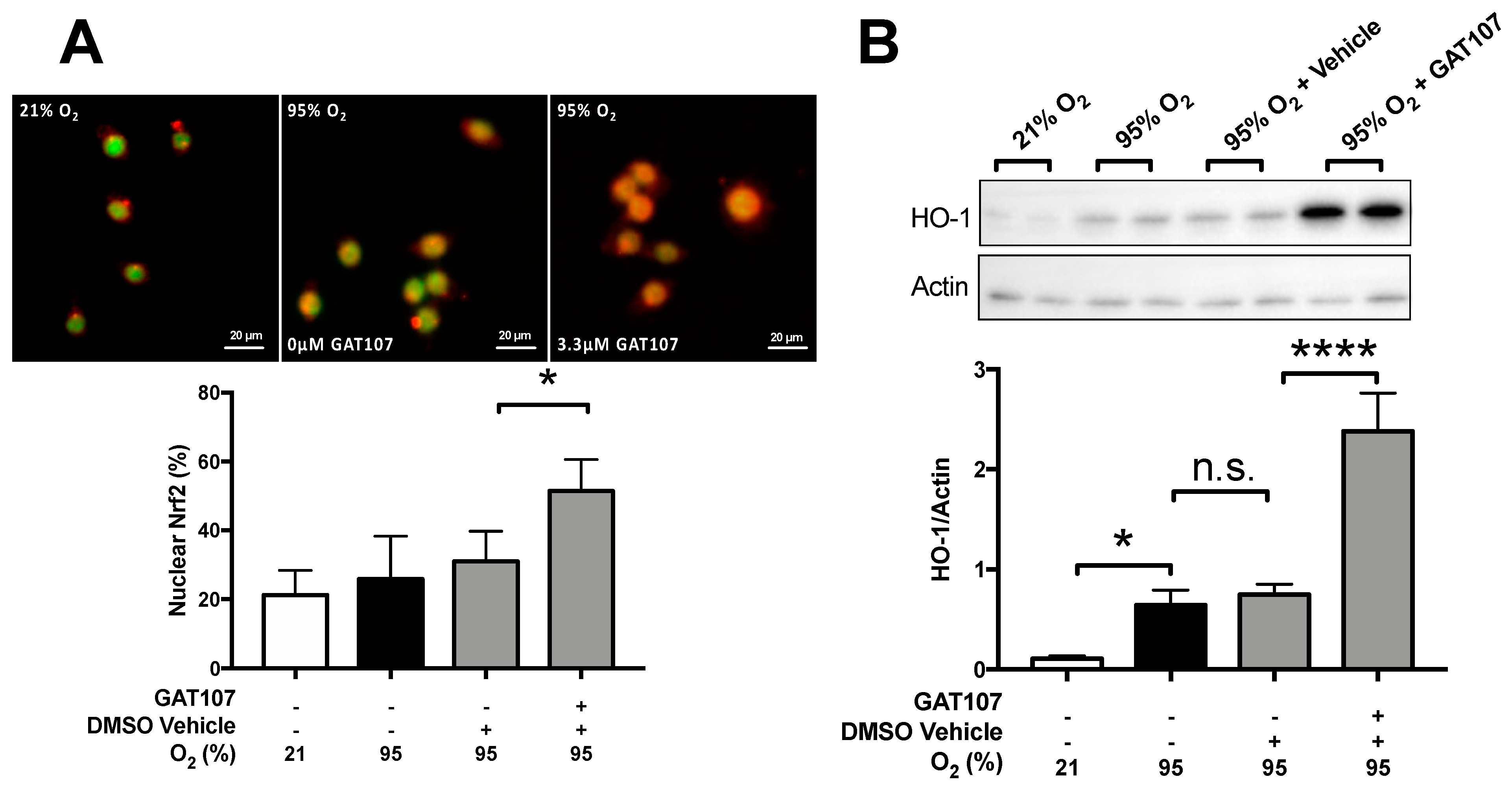 Antioxidants 10 00135 g005 Antioxidants 10 00135 g005