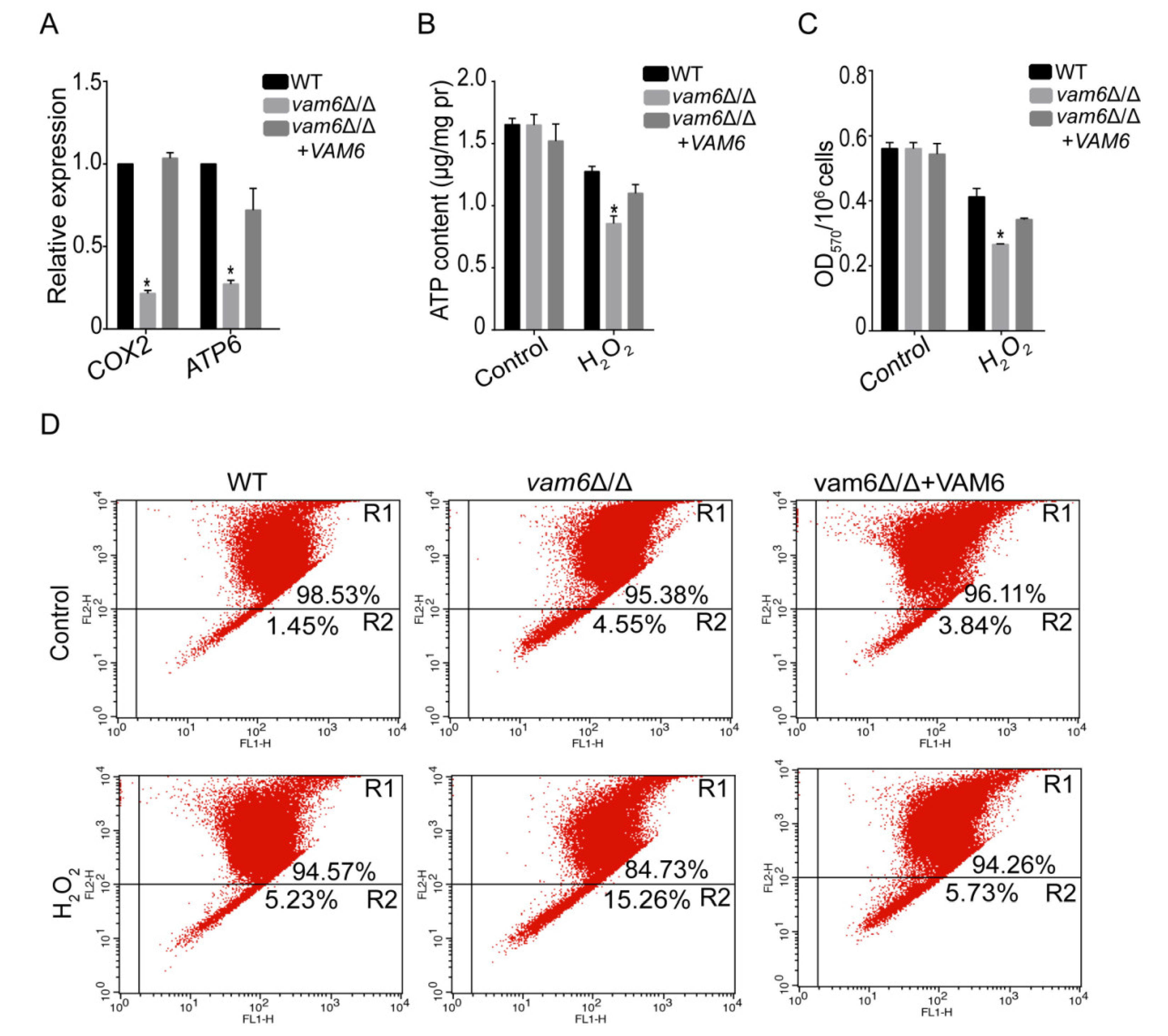Antioxidants 10 00136 g005