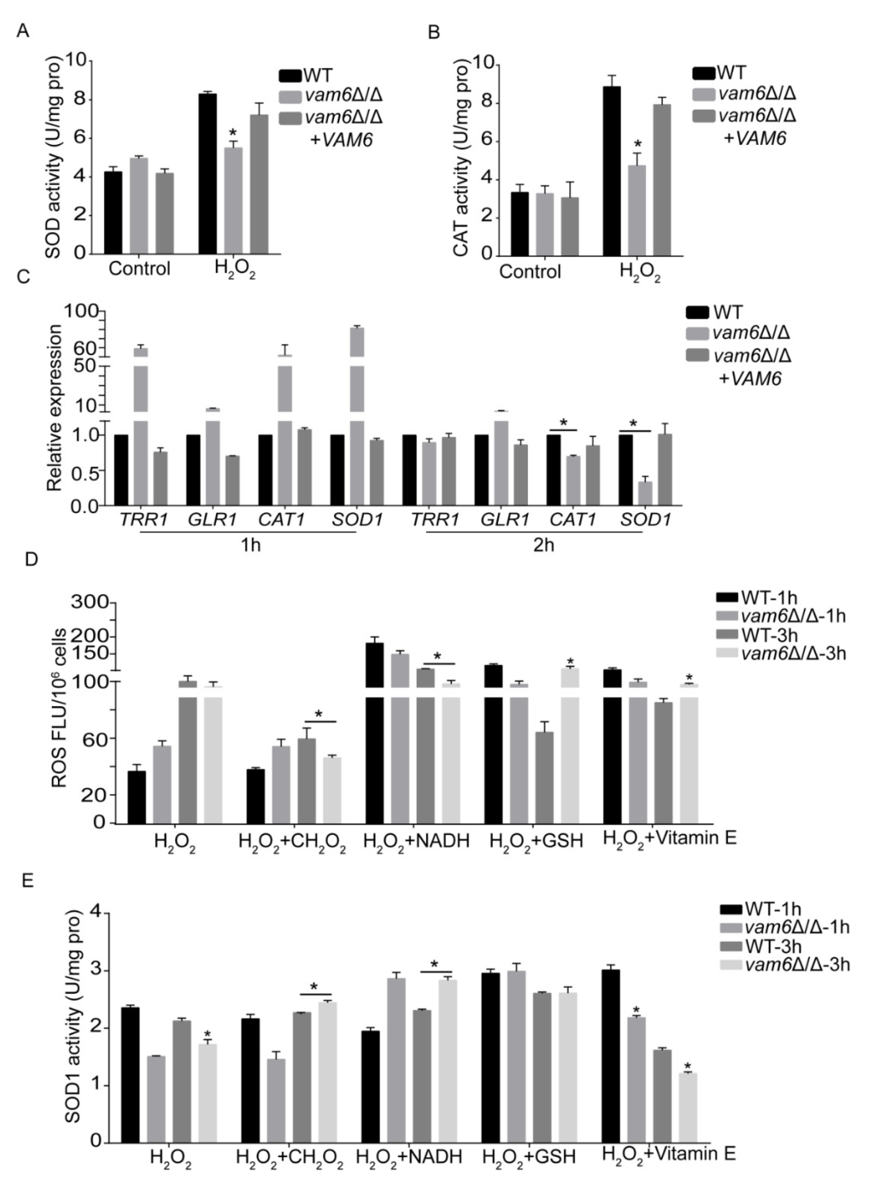 Antioxidants 10 00136 g006
