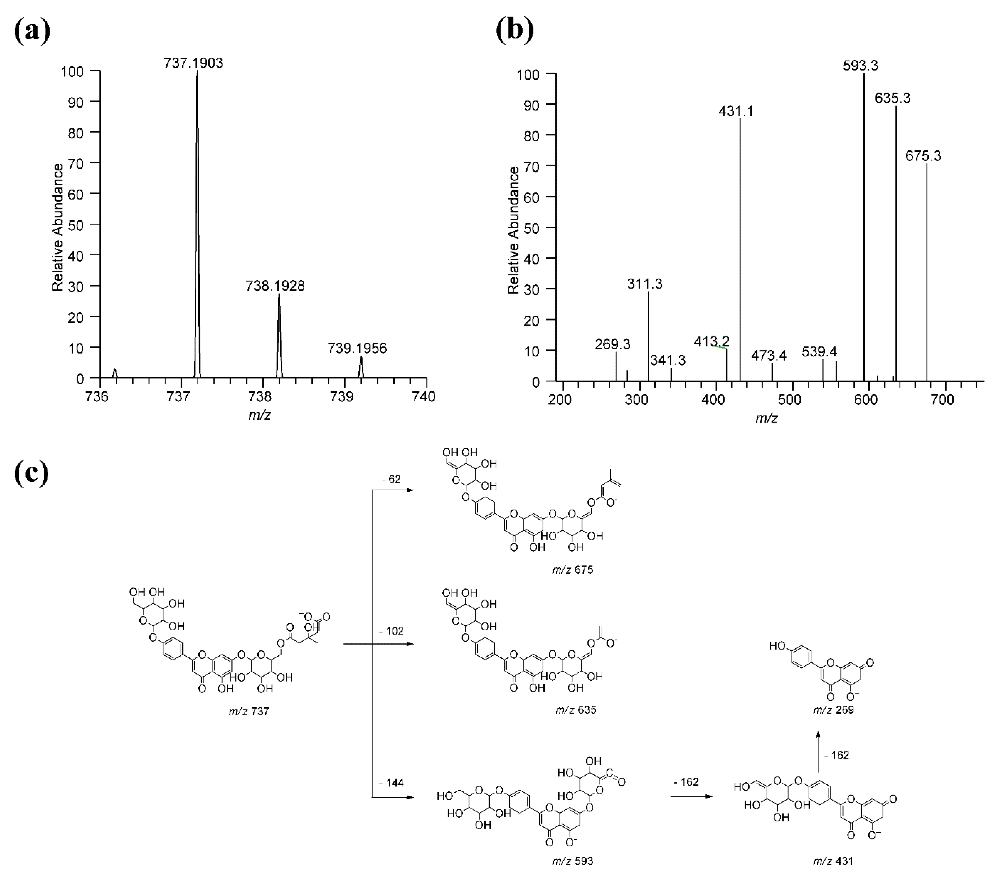 Antioxidants 10 00141 g002