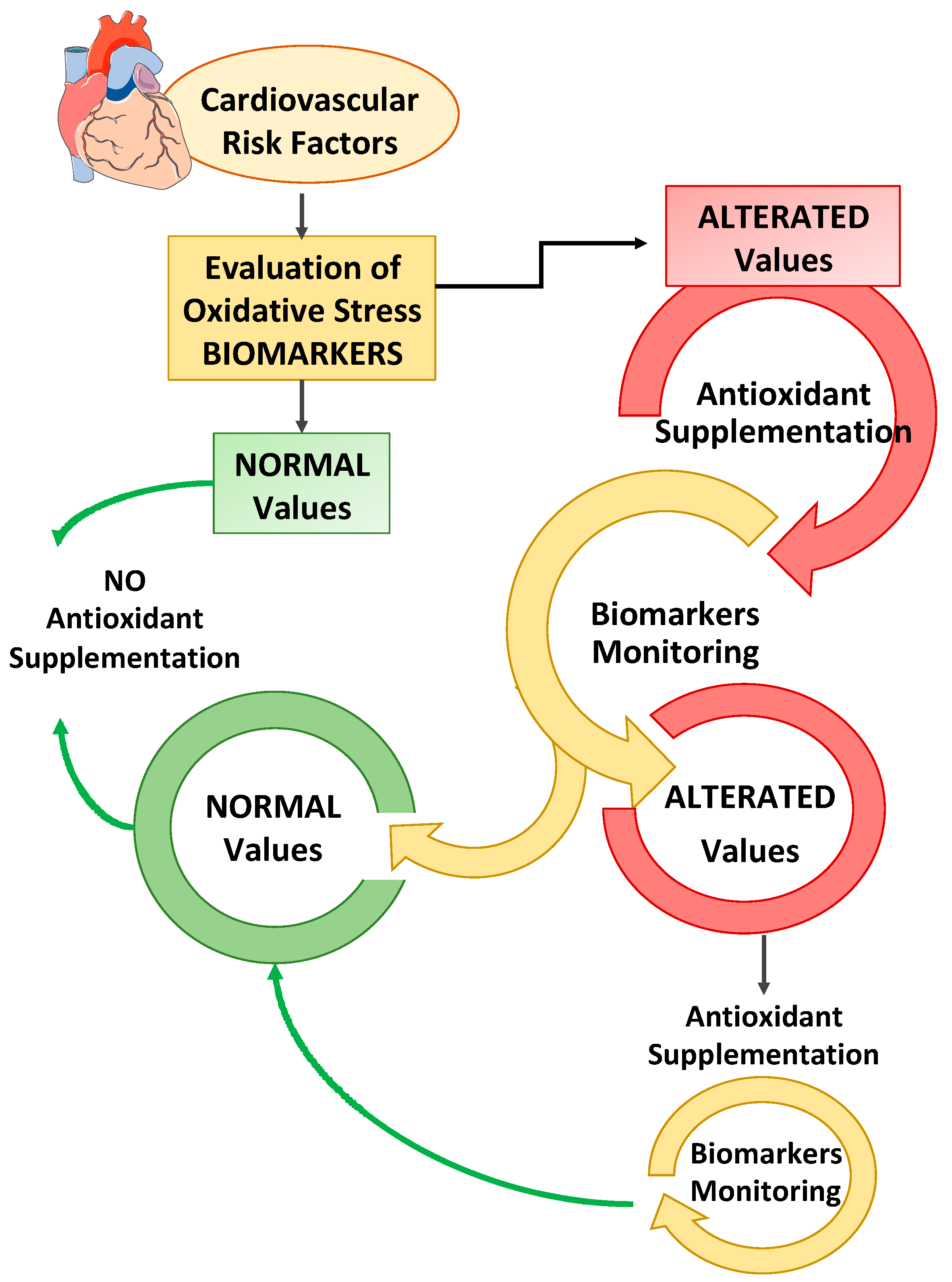 Antioxidants Free FullText The Role of Antioxidants