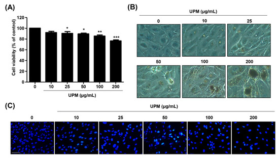 Urban Aerosol Particulate Matter Promotes Necrosis and