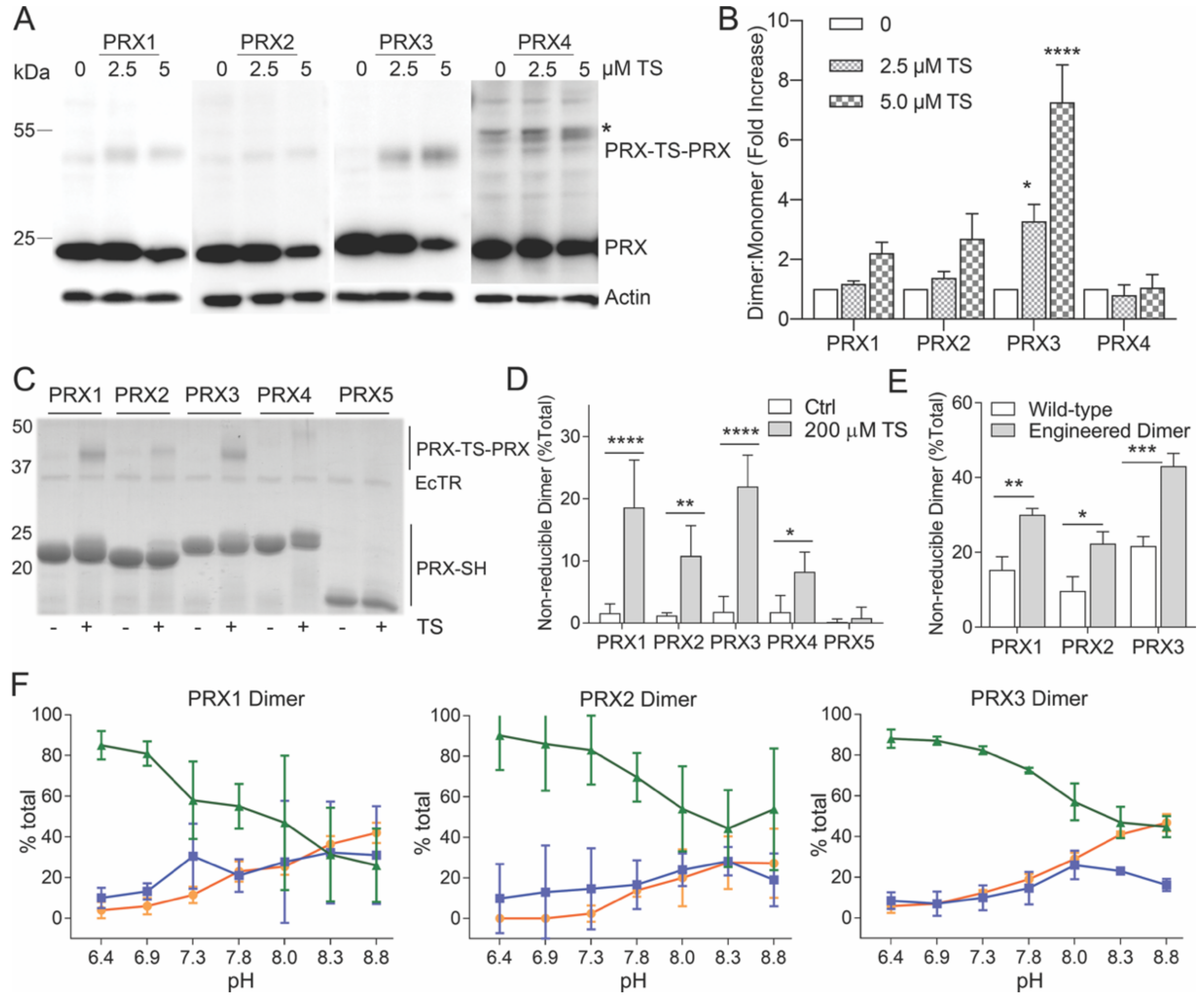 Antioxidants 10 00150 g003 Antioxidants 10 00150 g003