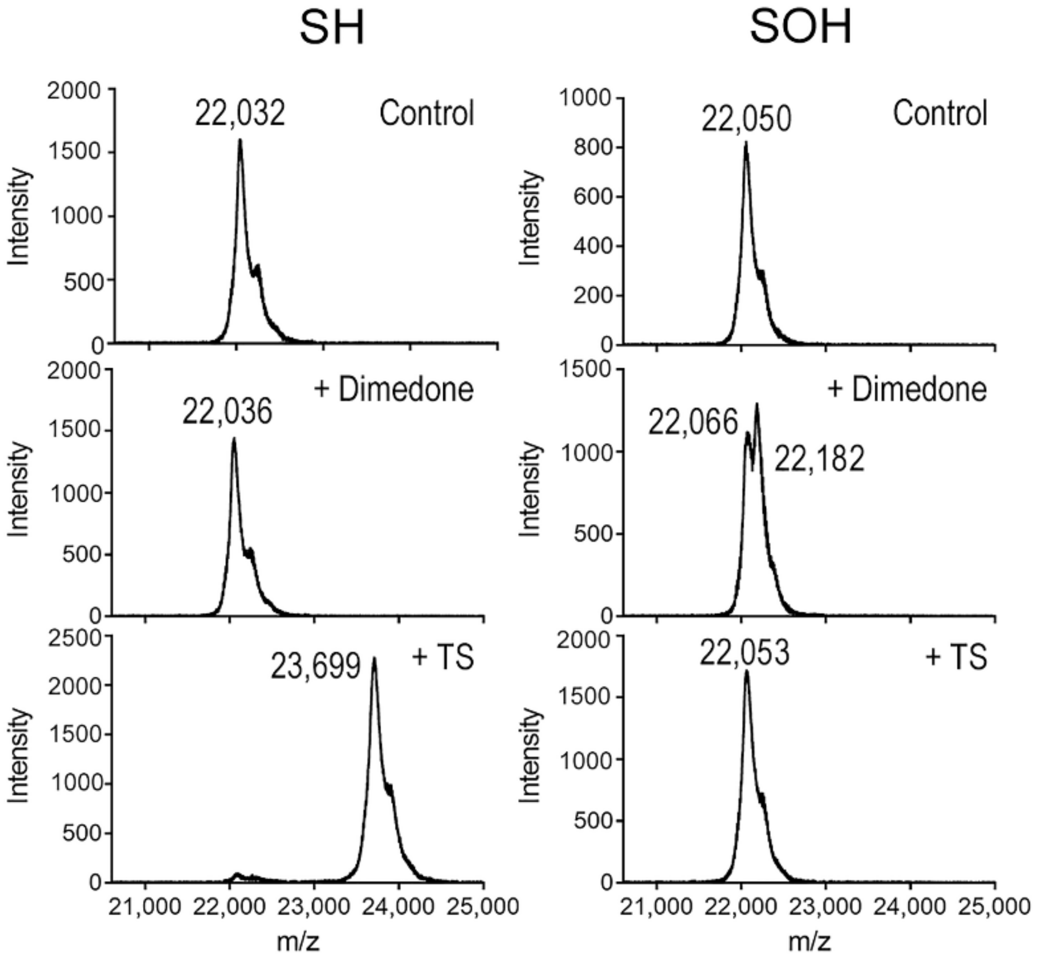 Antioxidants 10 00150 g004 Antioxidants 10 00150 g004