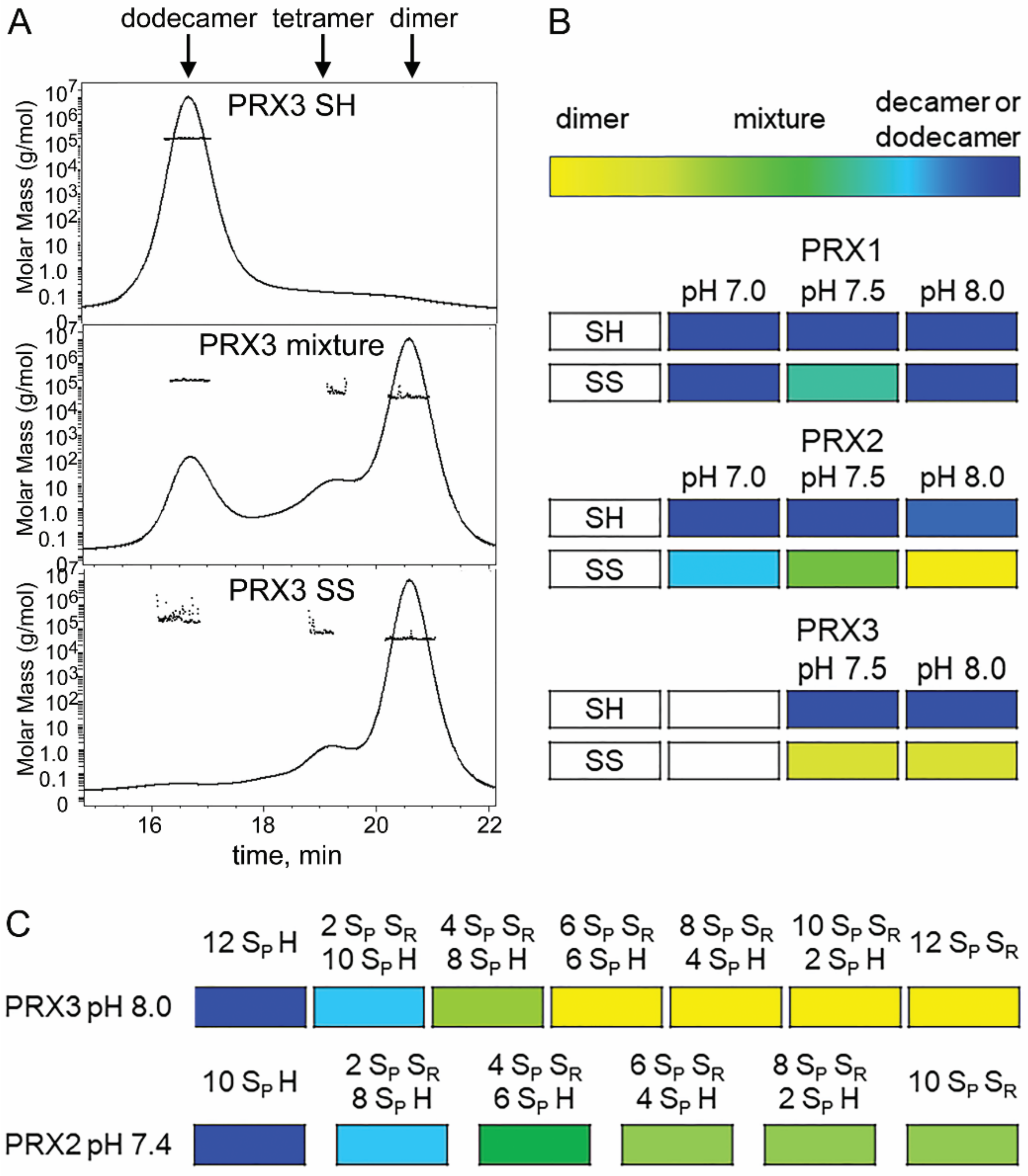 Antioxidants 10 00150 g005 Antioxidants 10 00150 g005