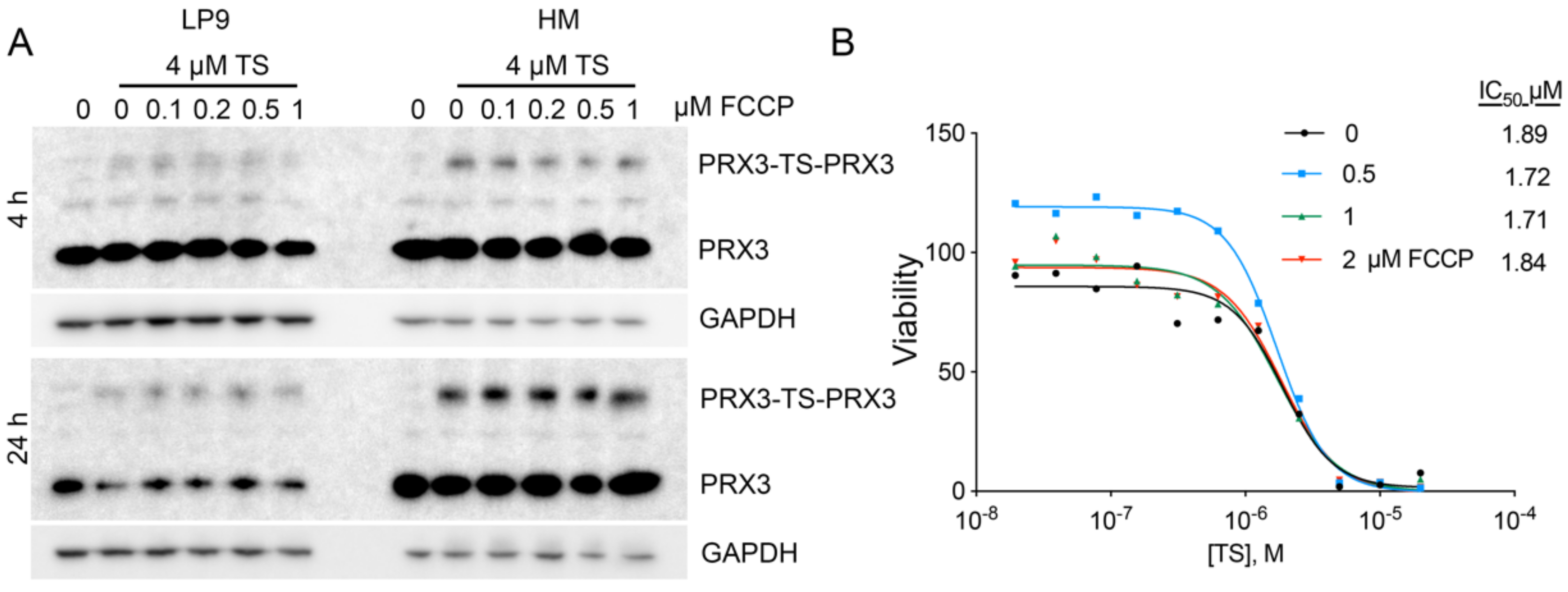 Antioxidants 10 00150 g007 Antioxidants 10 00150 g007