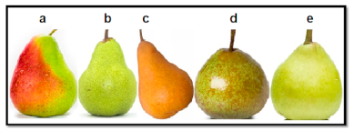 Antioxidants 10 00151 g001
