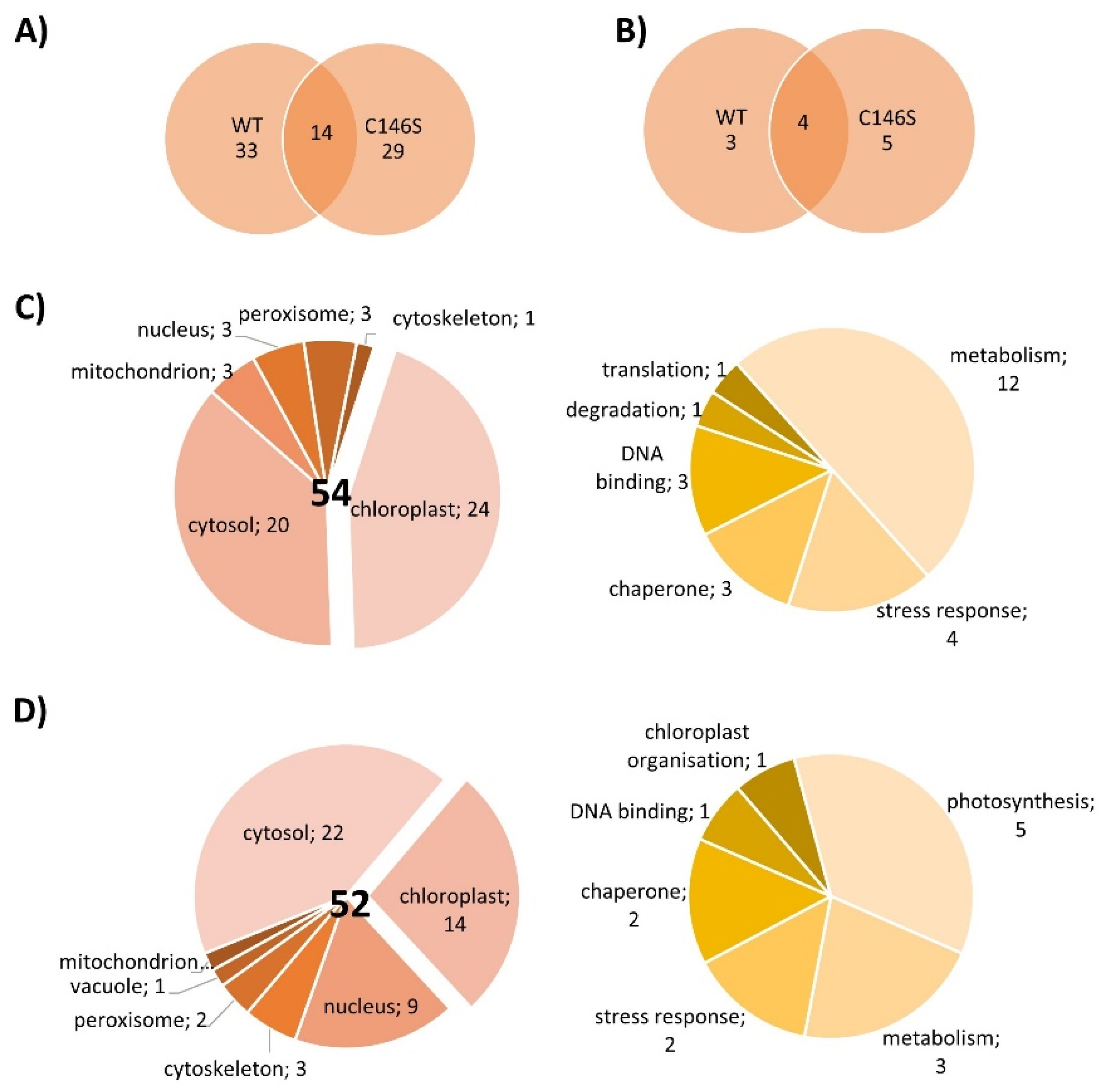 Antioxidants 10 00152 g010