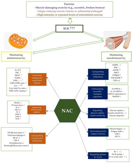 nac and psoriasis