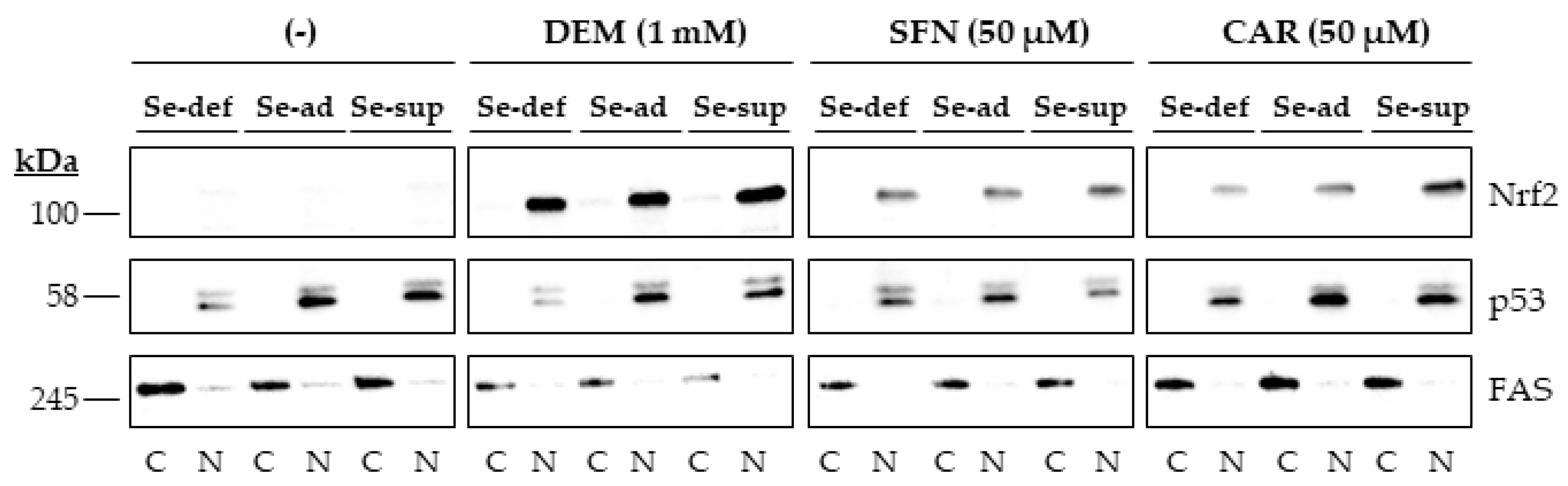 Antioxidants 10 00167 g003 Antioxidants 10 00167 g003