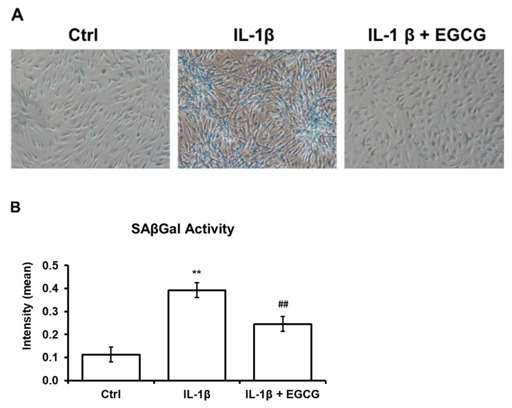 Antioxidants 10 00178 g003 Antioxidants 10 00178 g003