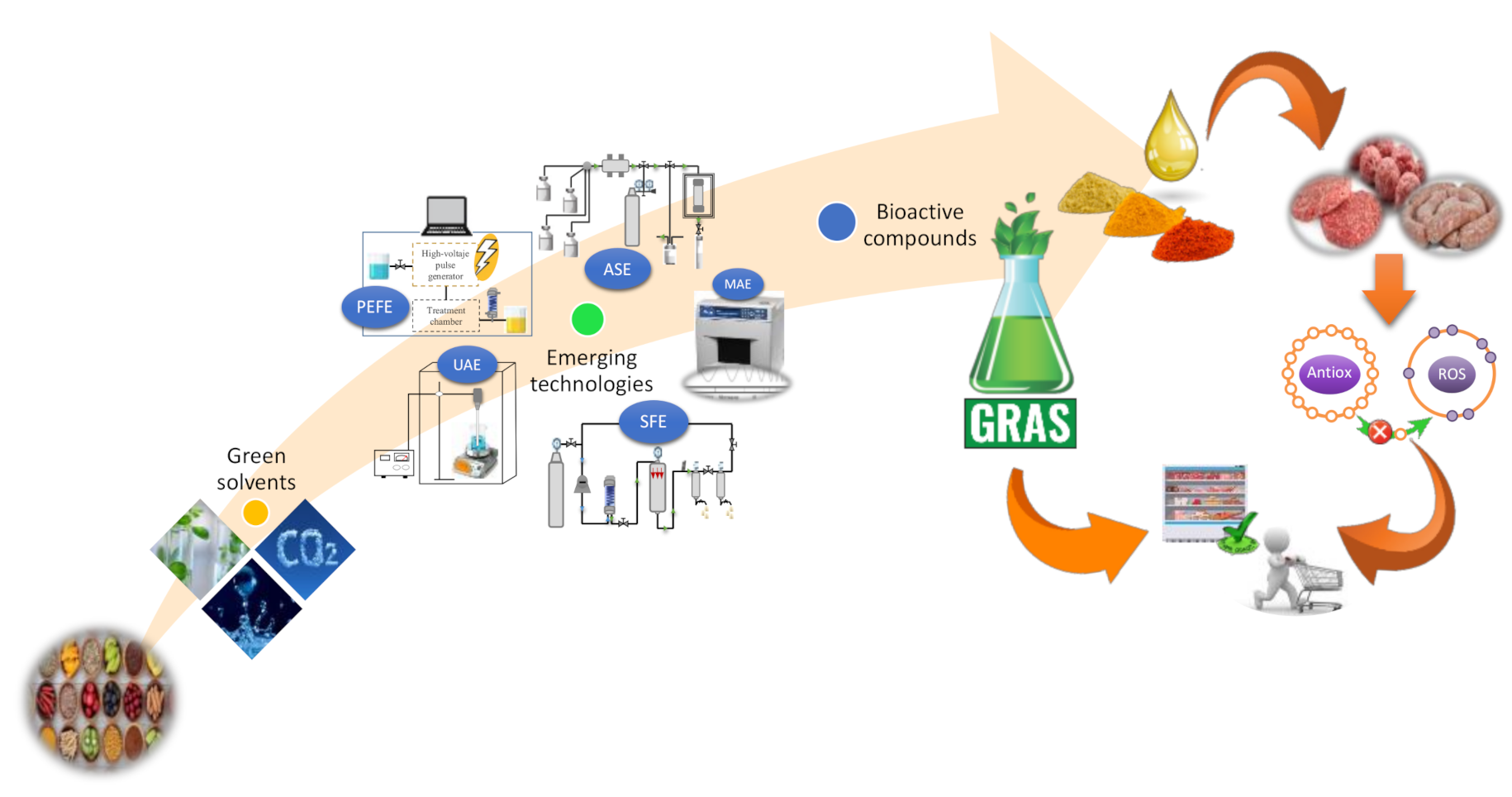 Antioxidants 10 00181 g002 Antioxidants 10 00181 g002