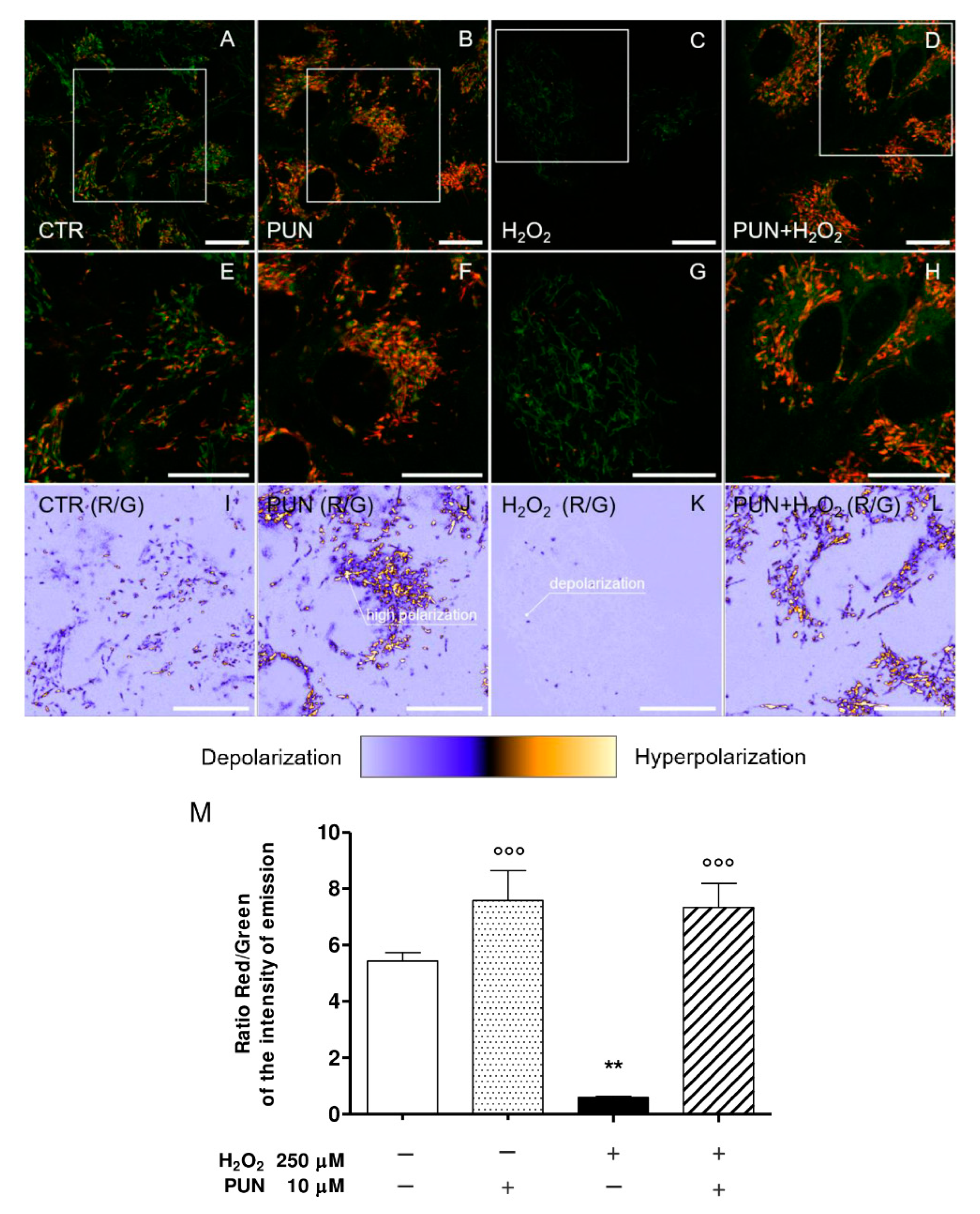 Antioxidants 10 00192 g003
