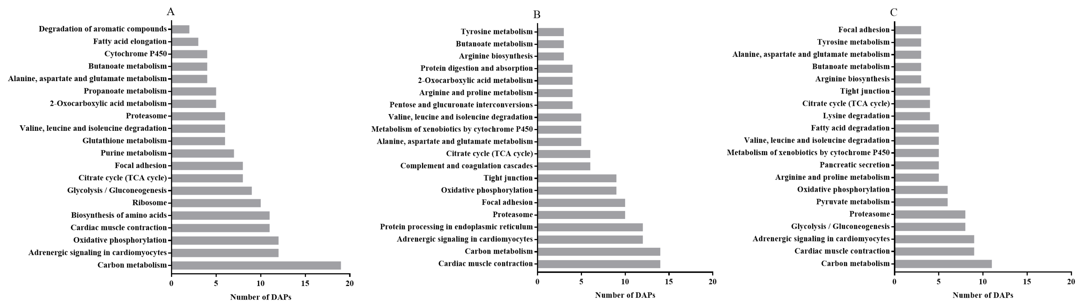 Antioxidants 10 00198 g005 Antioxidants 10 00198 g005