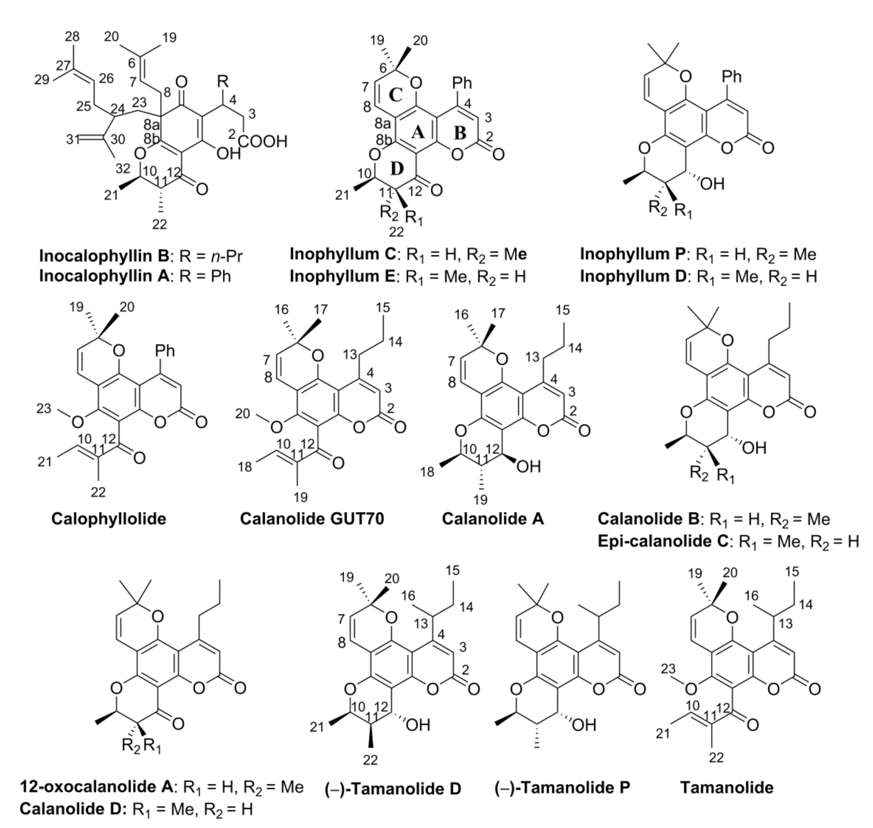 Antioxidants 10 00199 g001 Antioxidants 10 00199 g001