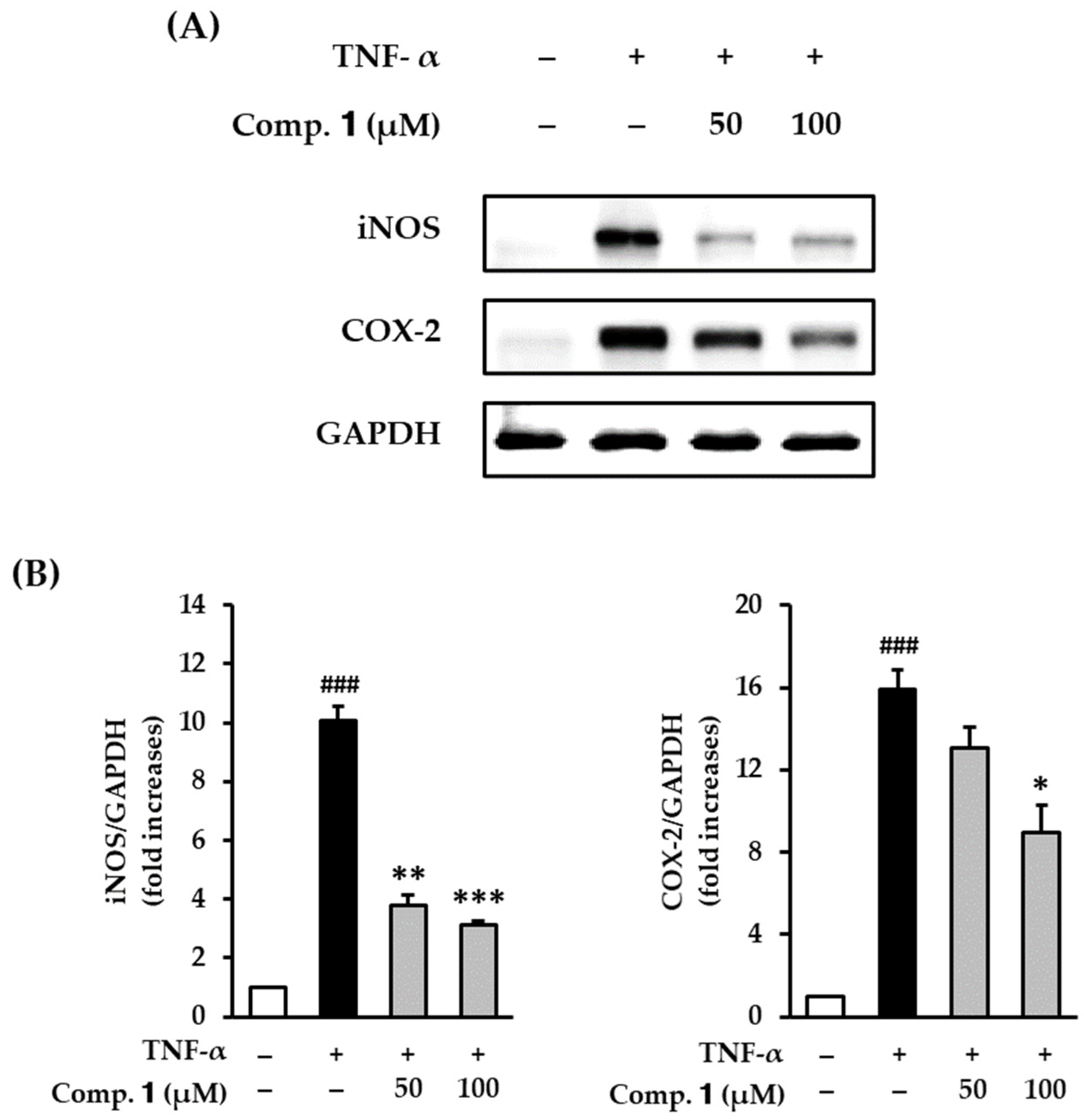Antioxidants 10 00200 g003