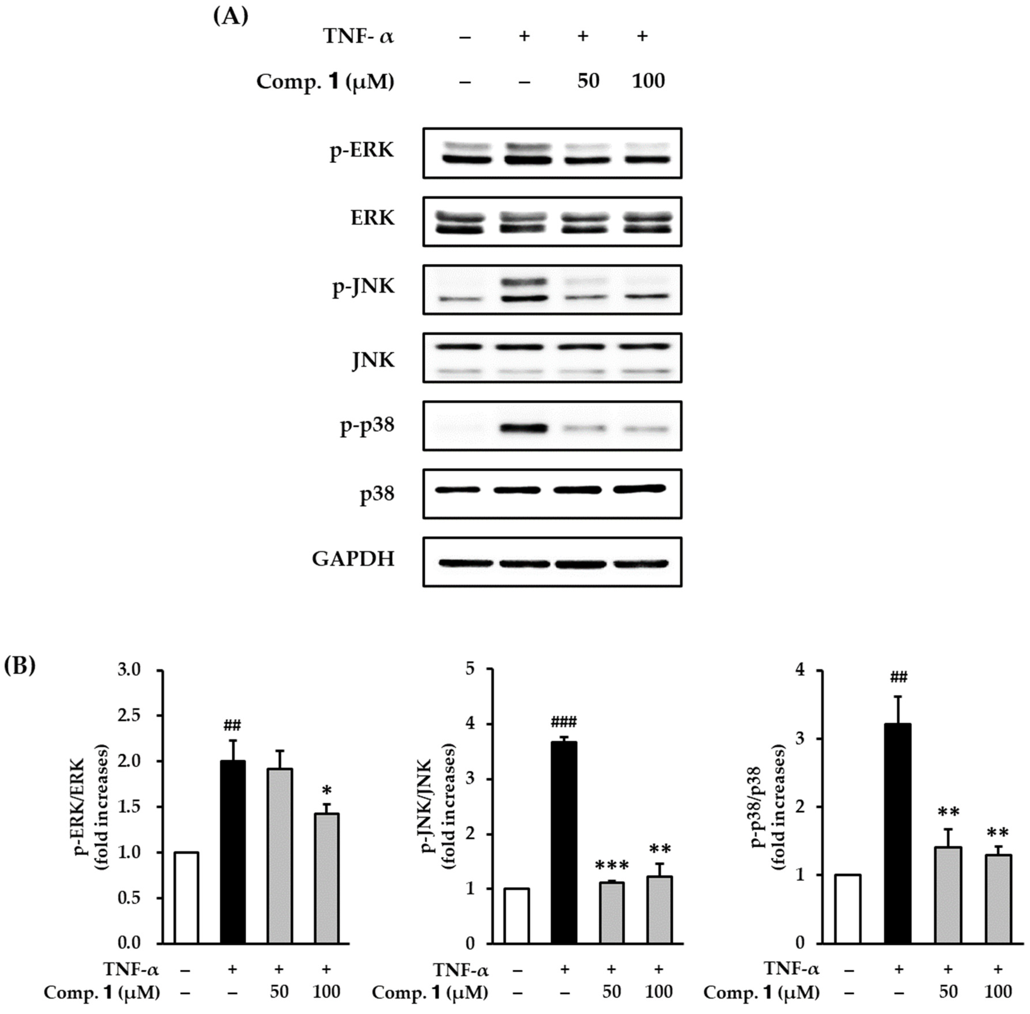 Antioxidants 10 00200 g007