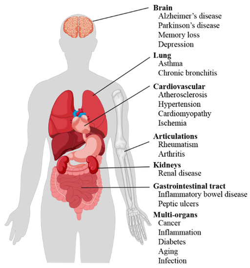 1. 4 Basic organs of the body, Training manual