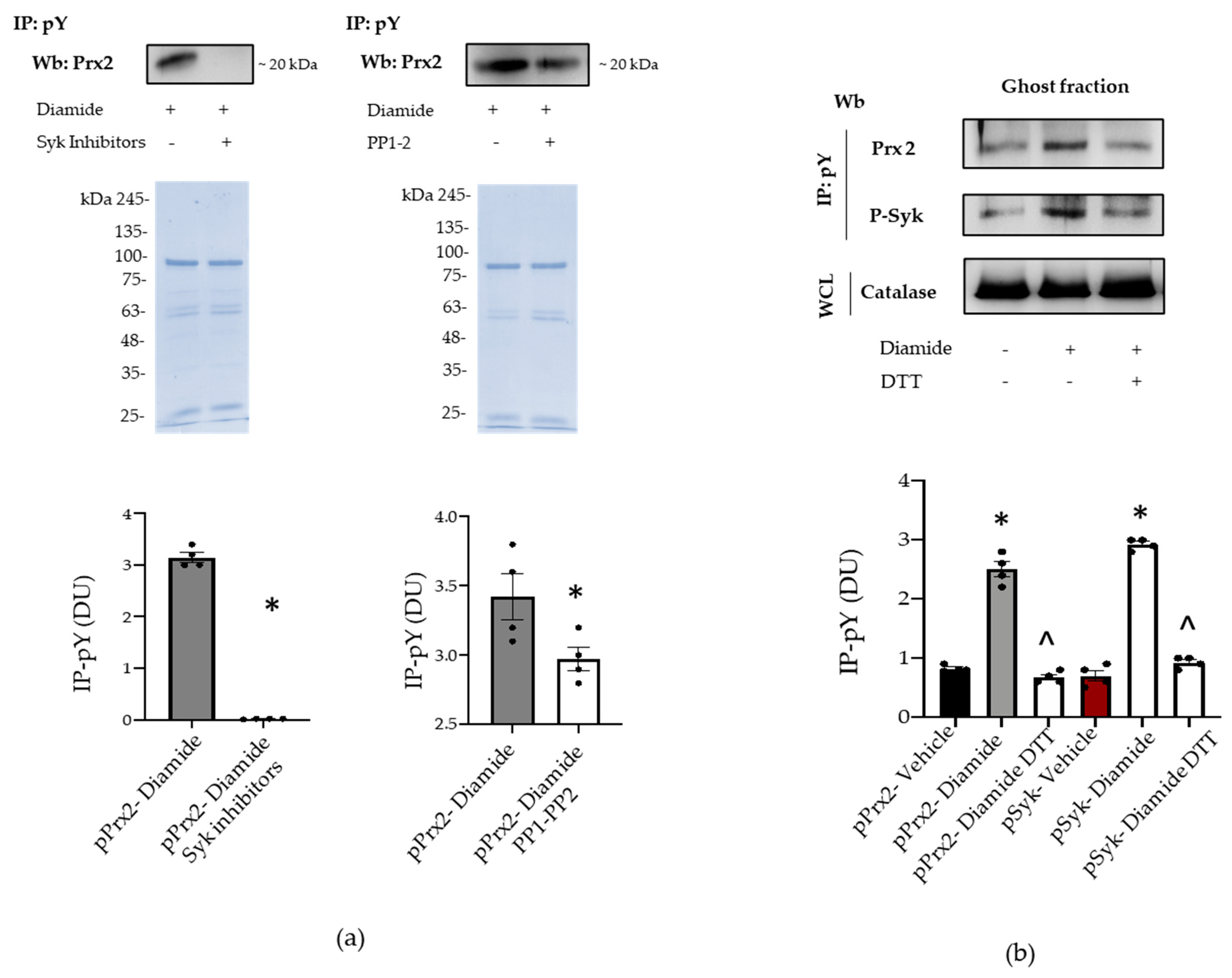 Antioxidants 10 00206 g004 Antioxidants 10 00206 g004