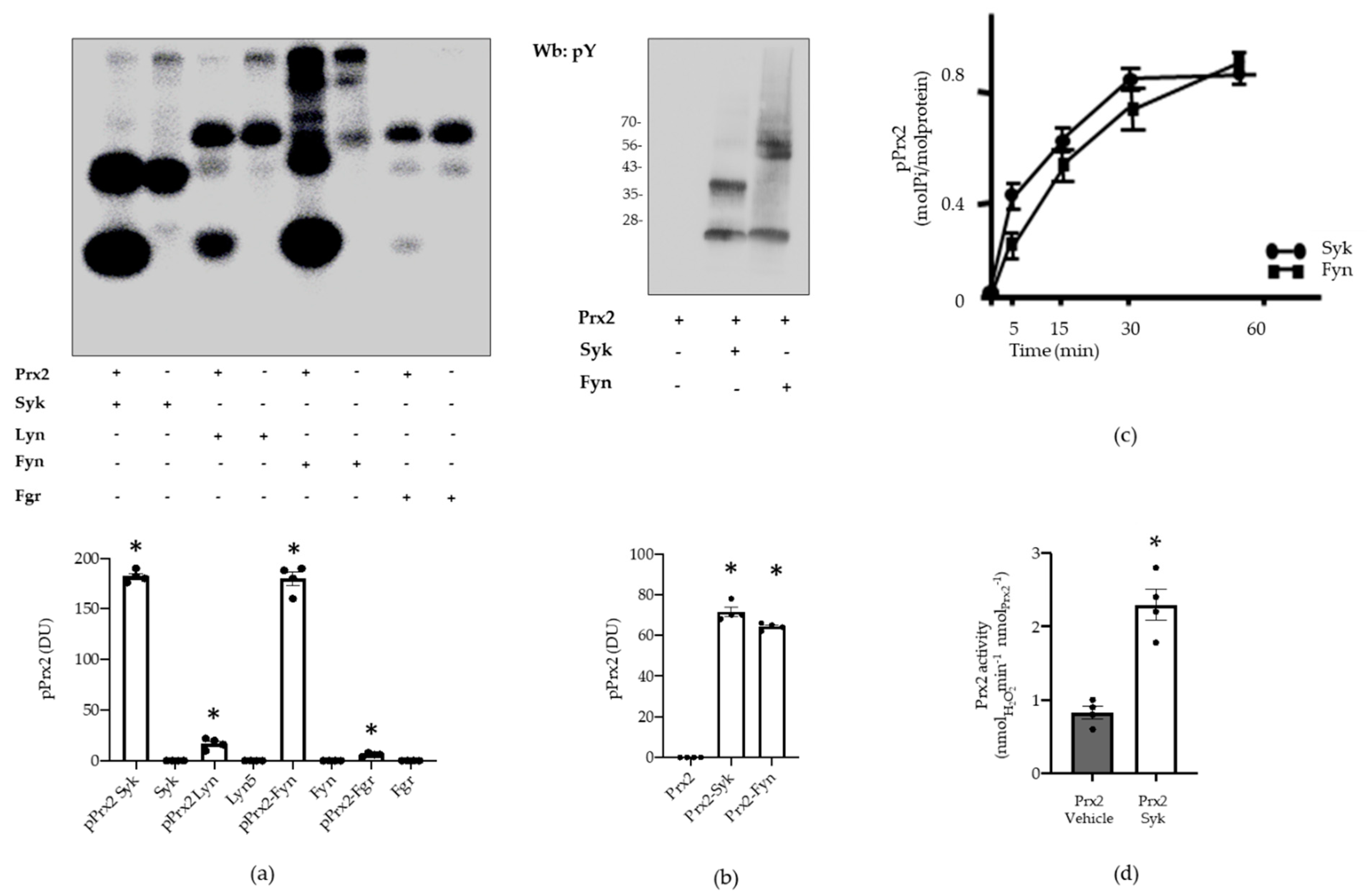 Antioxidants 10 00206 g005 Antioxidants 10 00206 g005