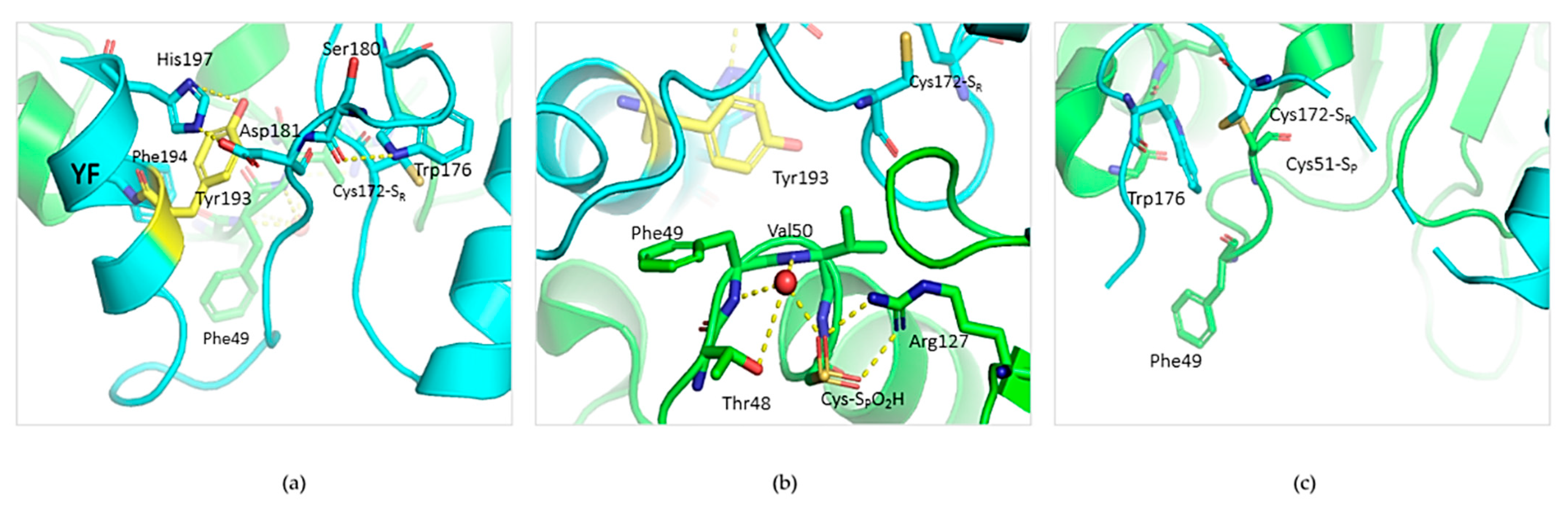 Antioxidants 10 00206 g007 Antioxidants 10 00206 g007