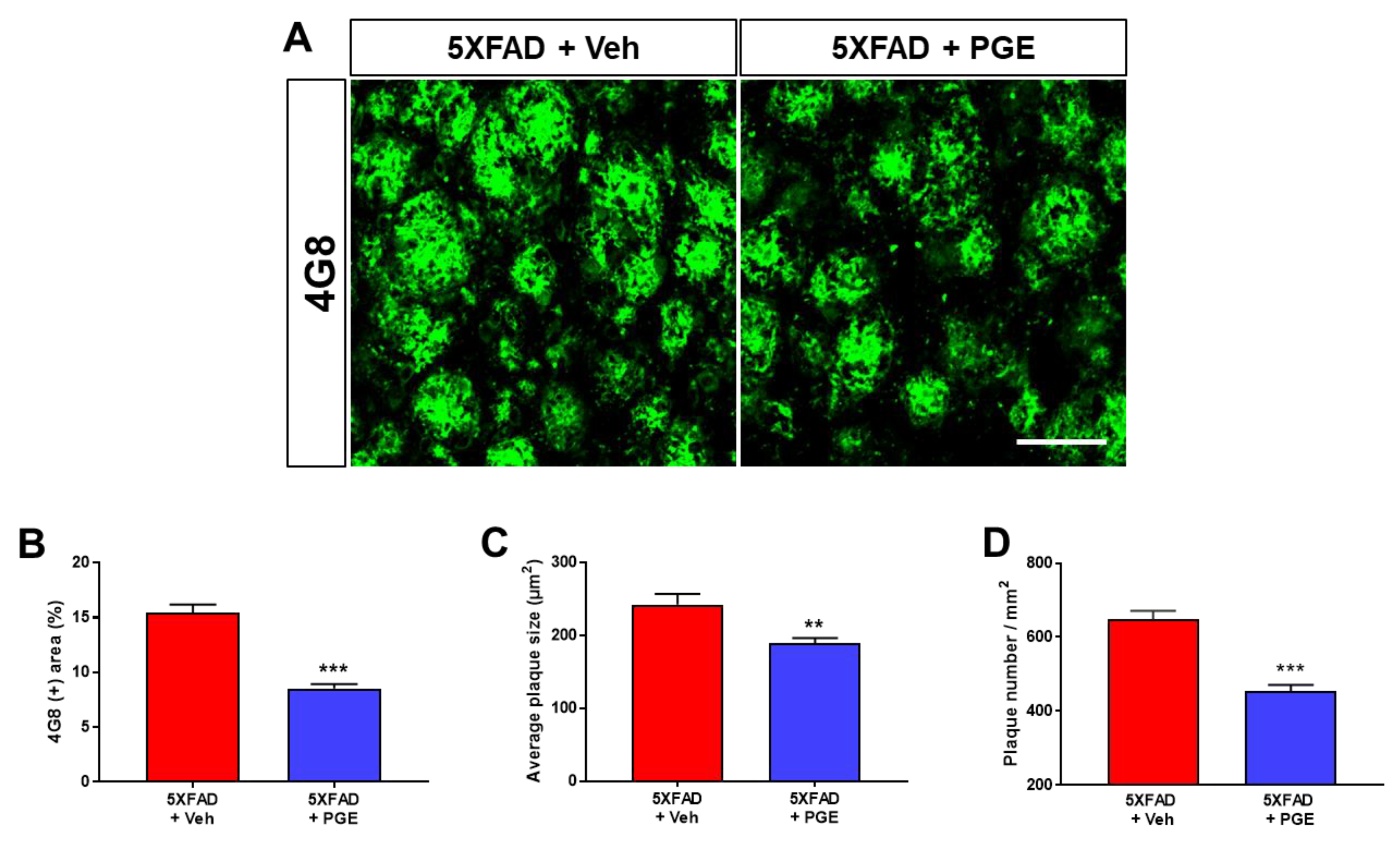 Antioxidants 10 00207 g003