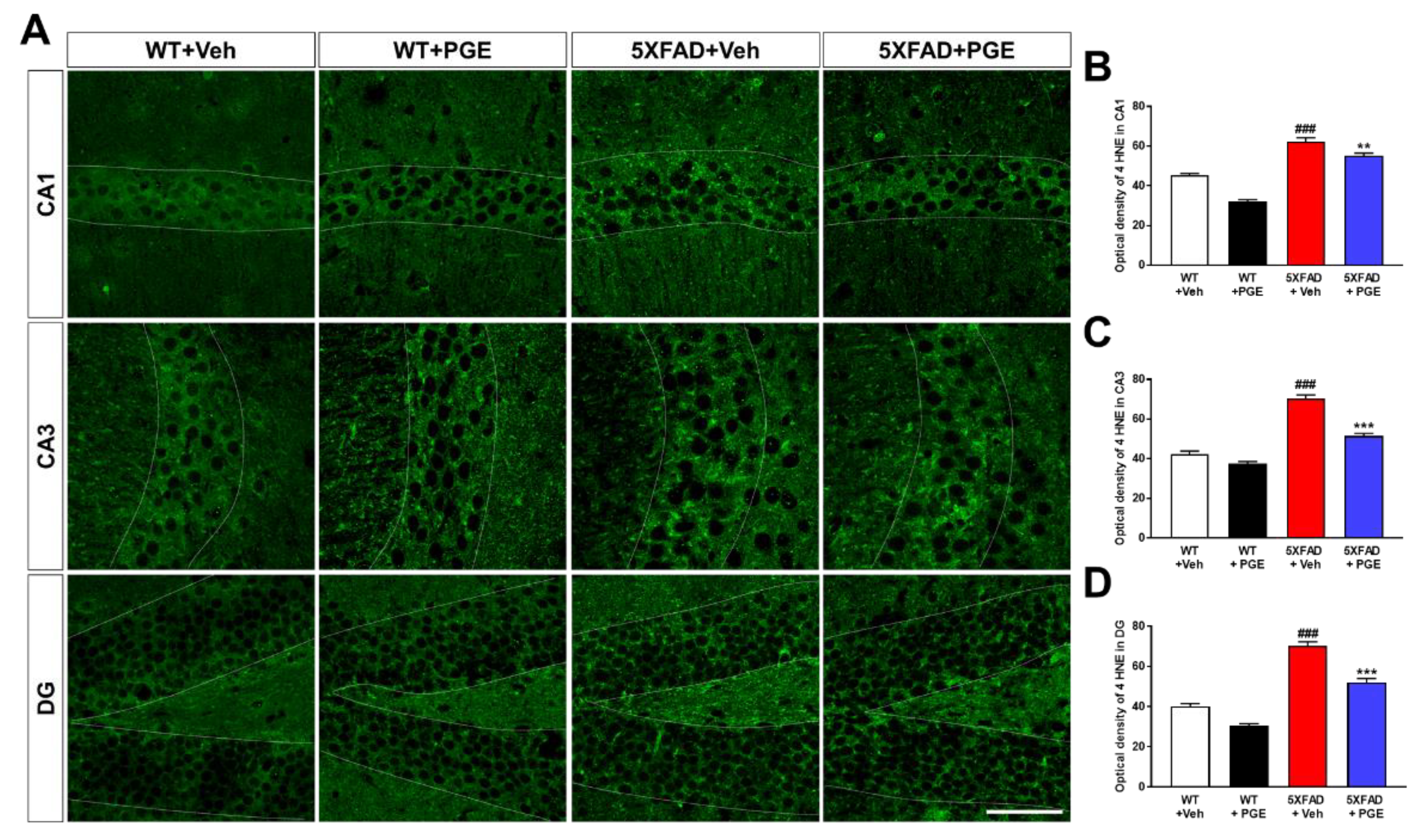 Antioxidants 10 00207 g005