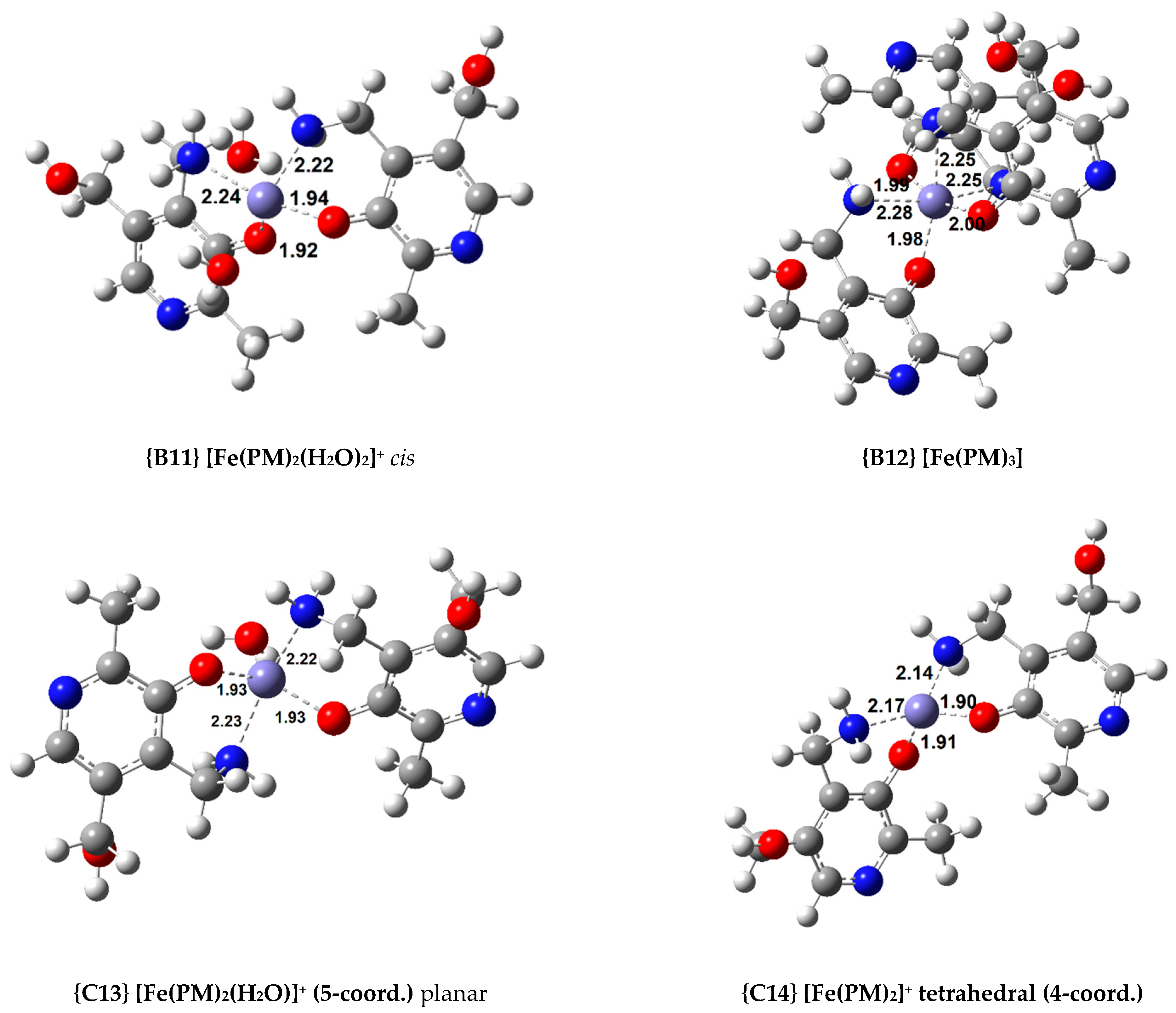 Antioxidants 10 00208 g003b Antioxidants 10 00208 g003b