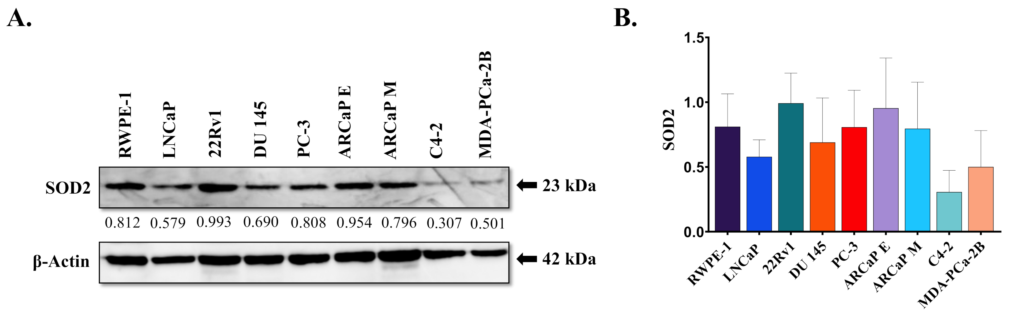 Antioxidants 10 00213 g001 Antioxidants 10 00213 g001