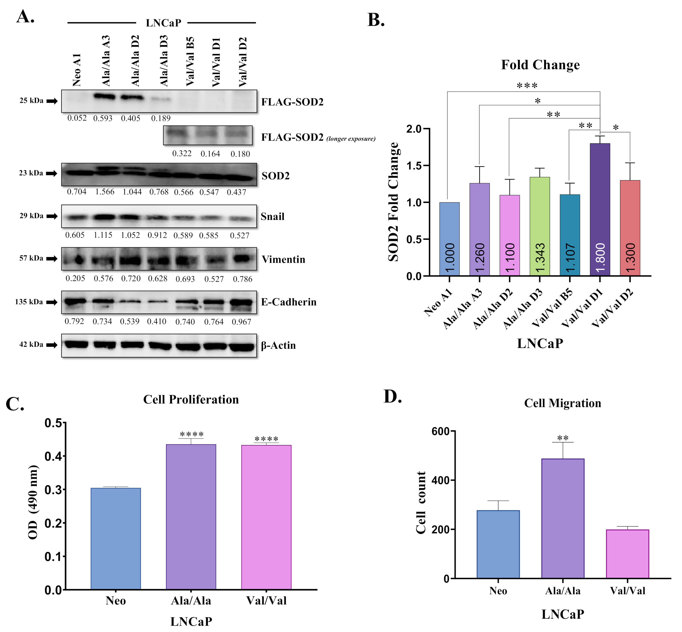Antioxidants 10 00213 g002 Antioxidants 10 00213 g002