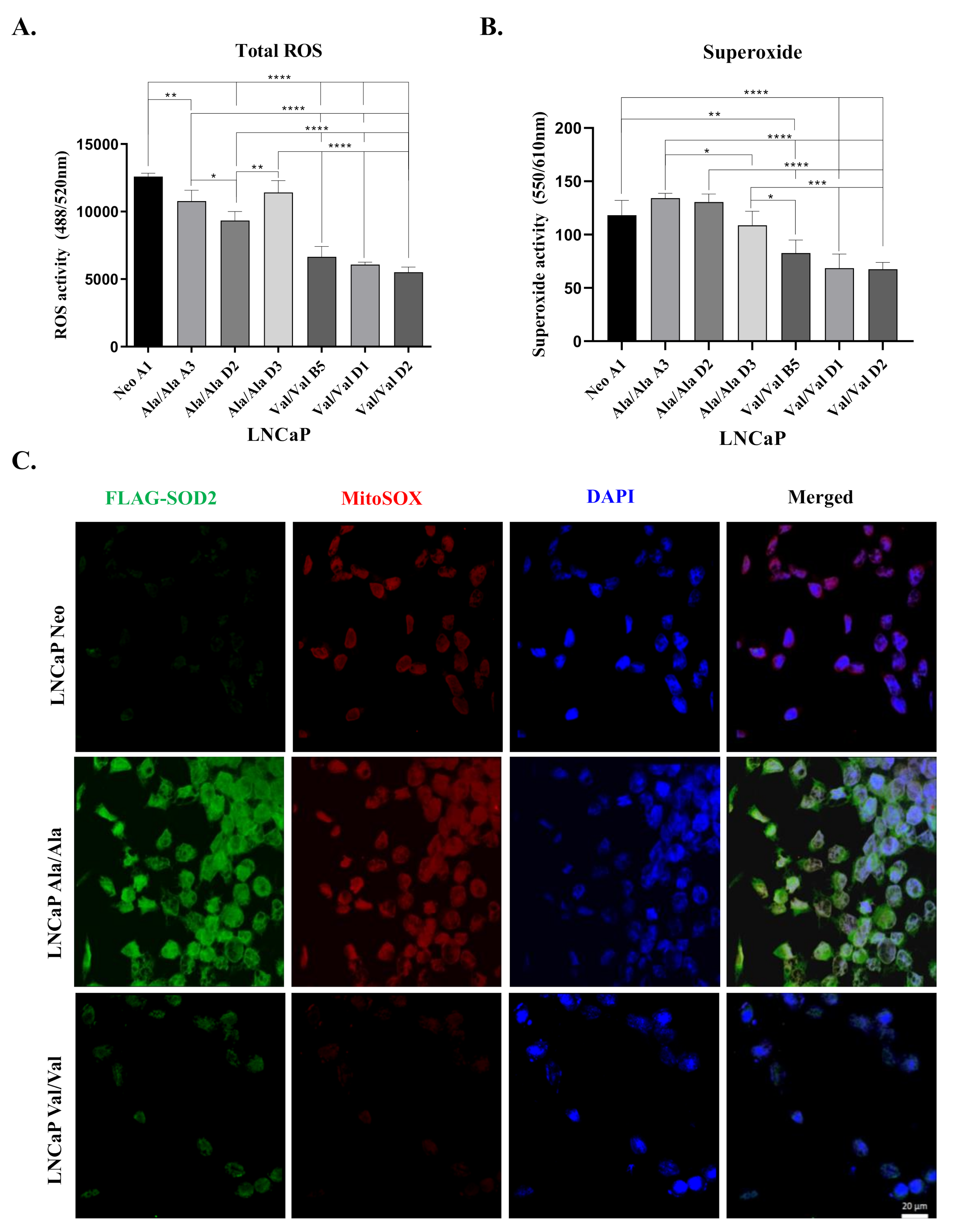 Antioxidants 10 00213 g003 Antioxidants 10 00213 g003