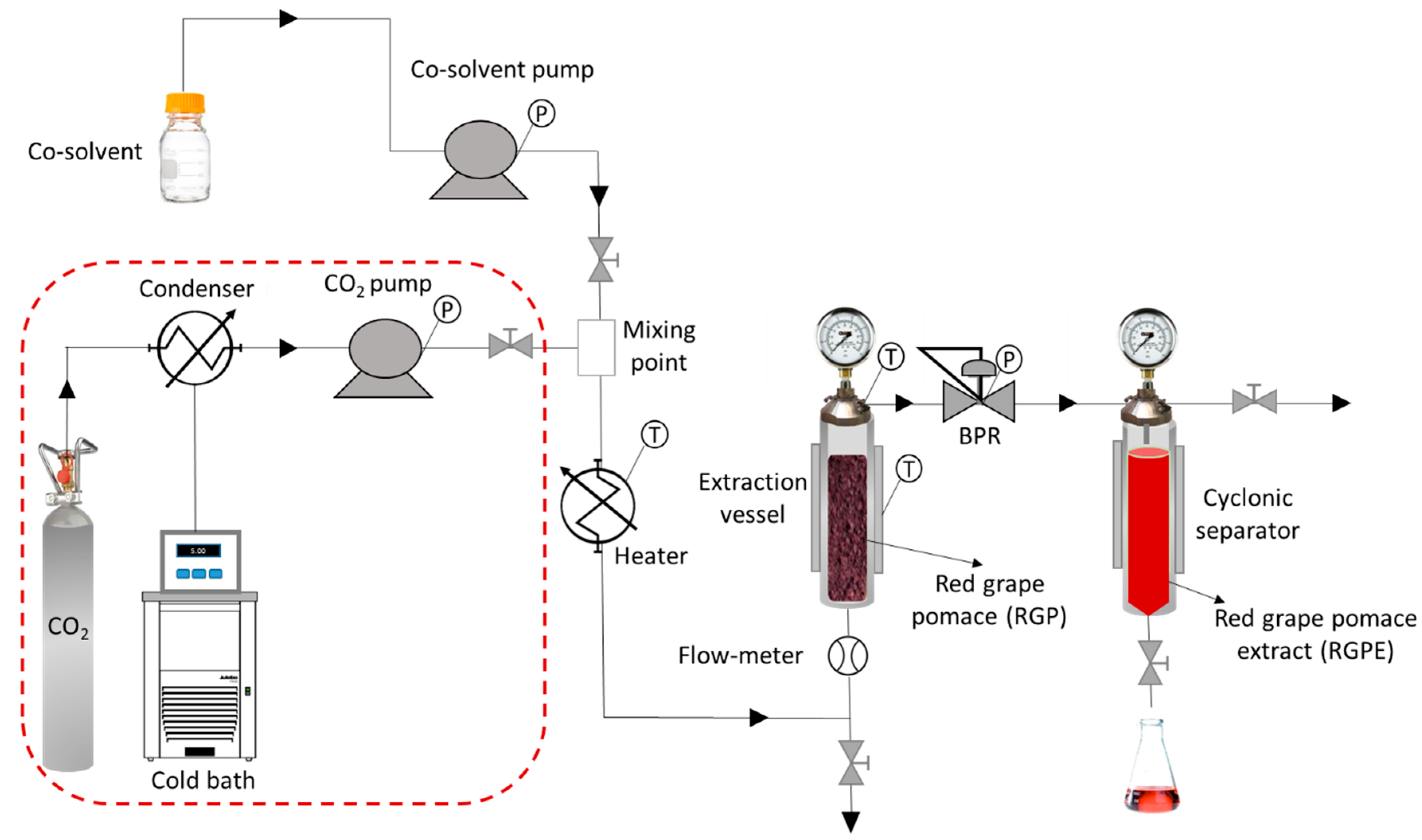 Antioxidants 10 00216 g001 Antioxidants 10 00216 g001