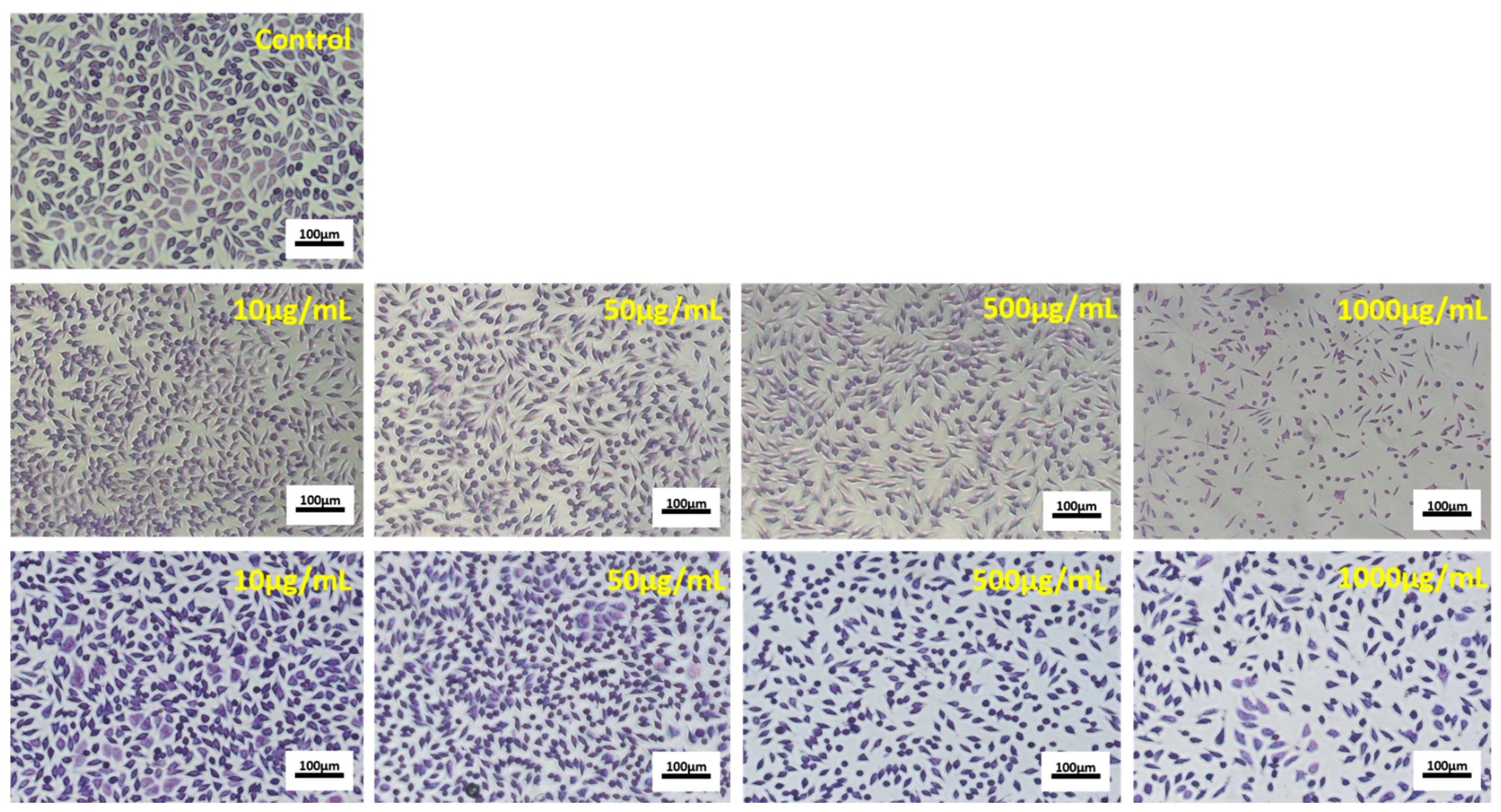 Antioxidants 10 00222 g006