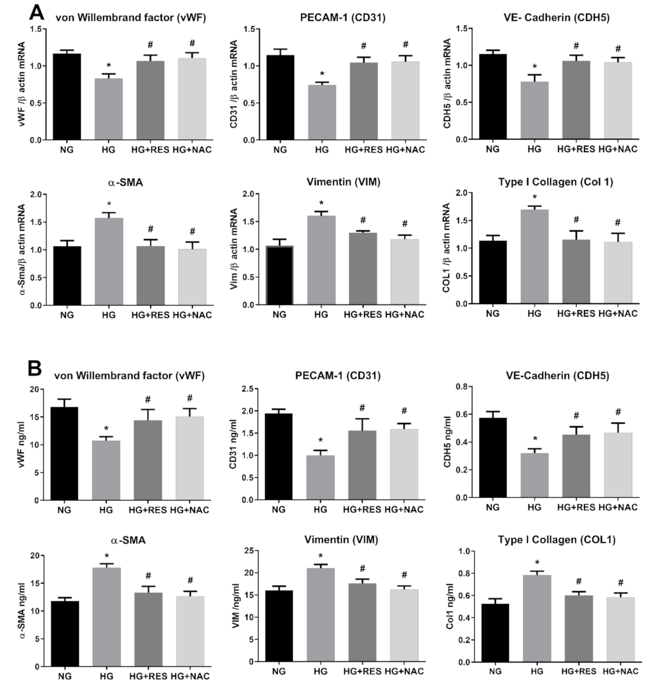 Antioxidants 10 00224 g003 Antioxidants 10 00224 g003