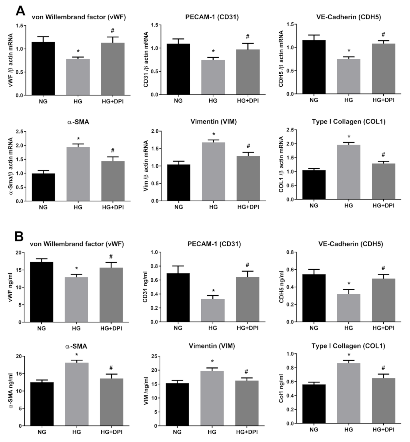 Antioxidants 10 00224 g006 Antioxidants 10 00224 g006