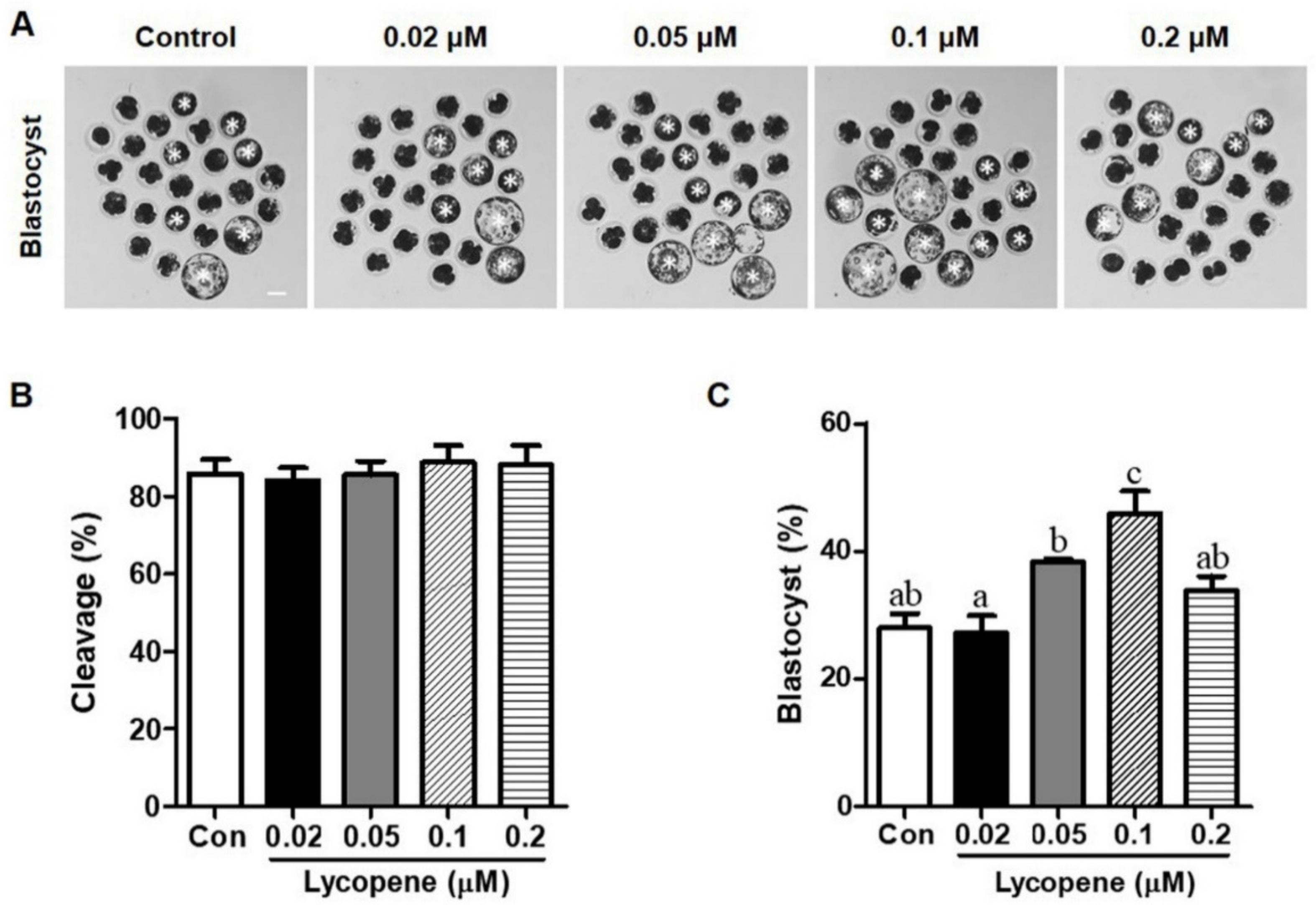 Antioxidants 10 00230 g001 Antioxidants 10 00230 g001