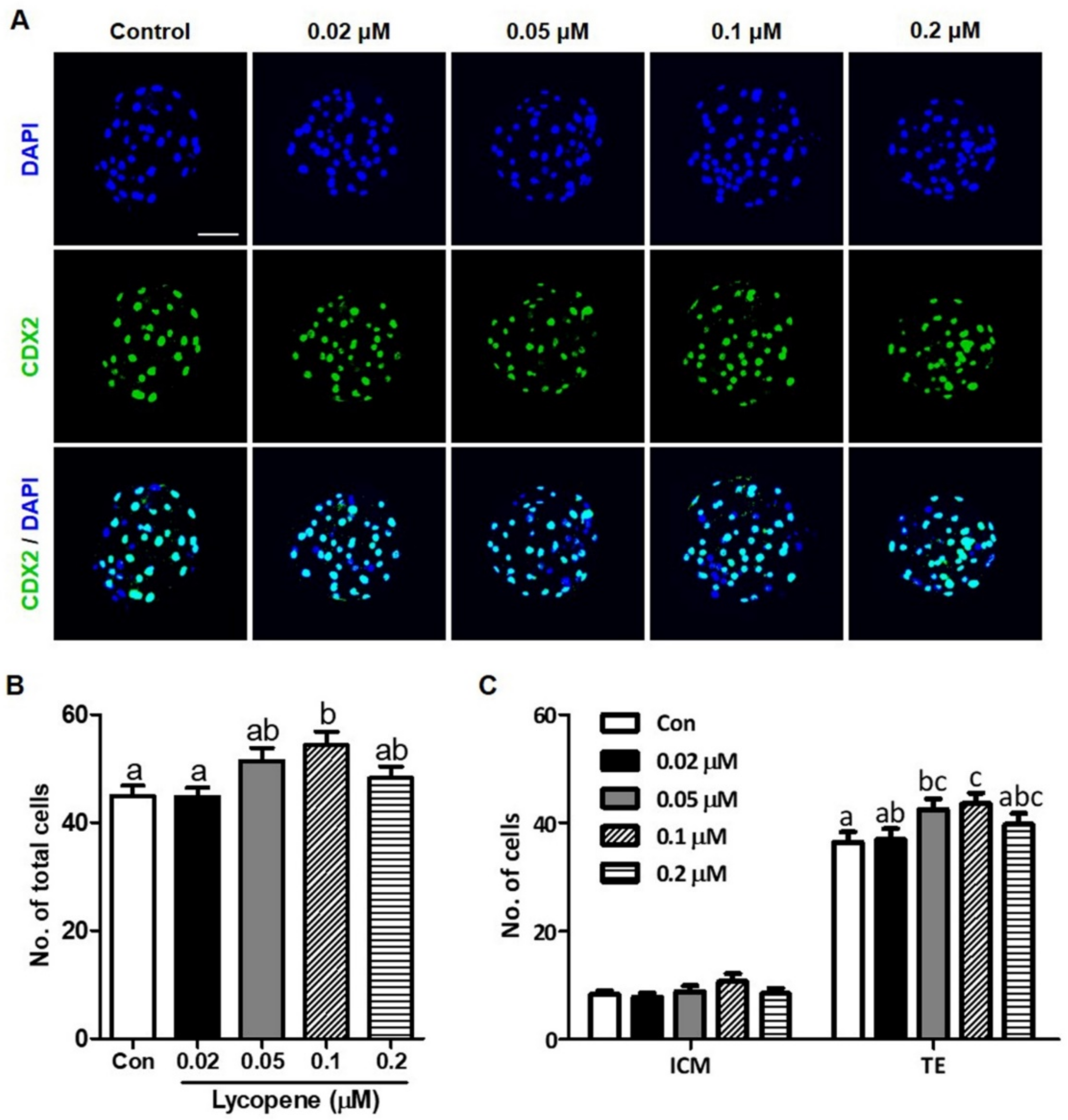 Antioxidants 10 00230 g002 Antioxidants 10 00230 g002