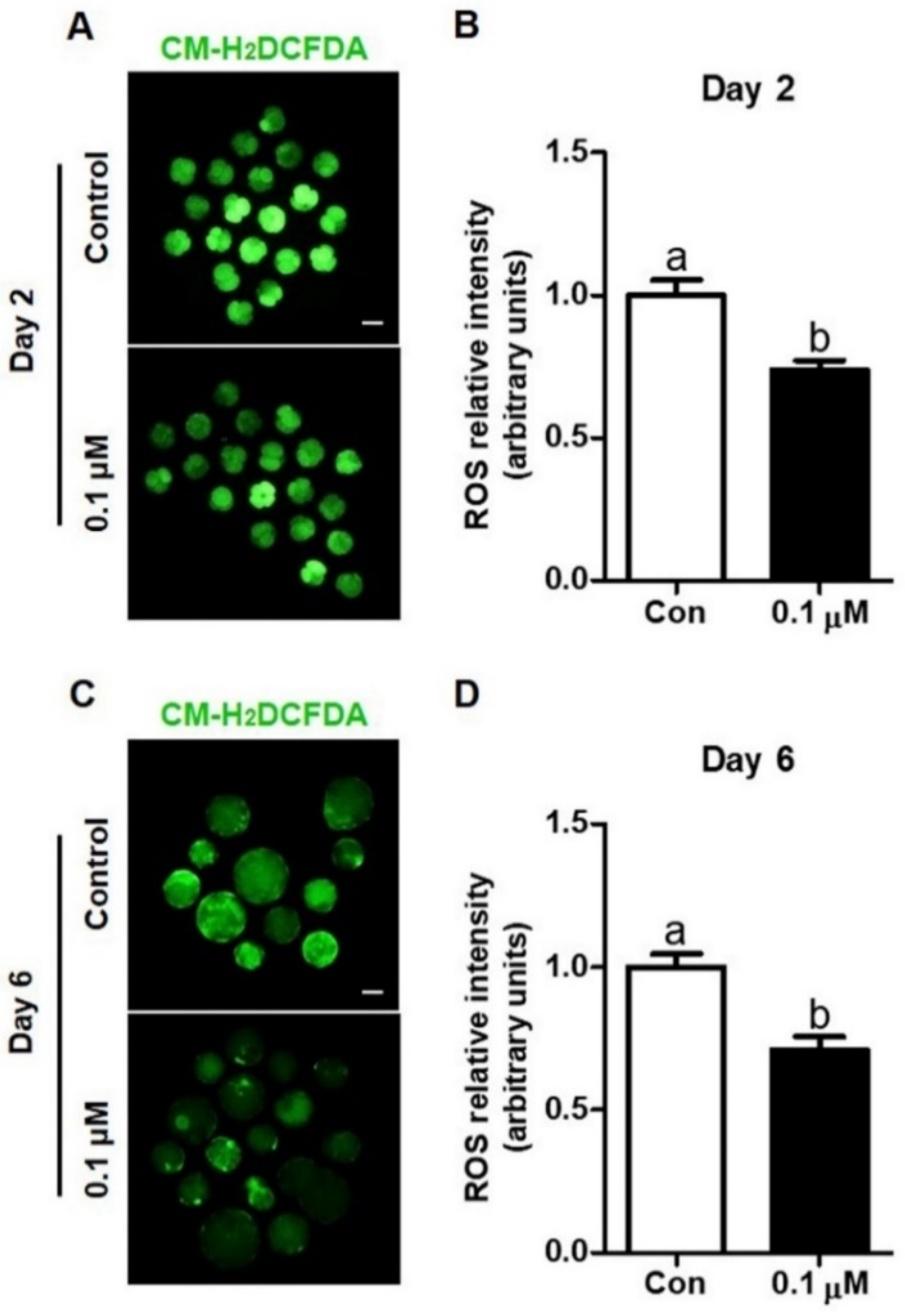 Antioxidants 10 00230 g003 Antioxidants 10 00230 g003