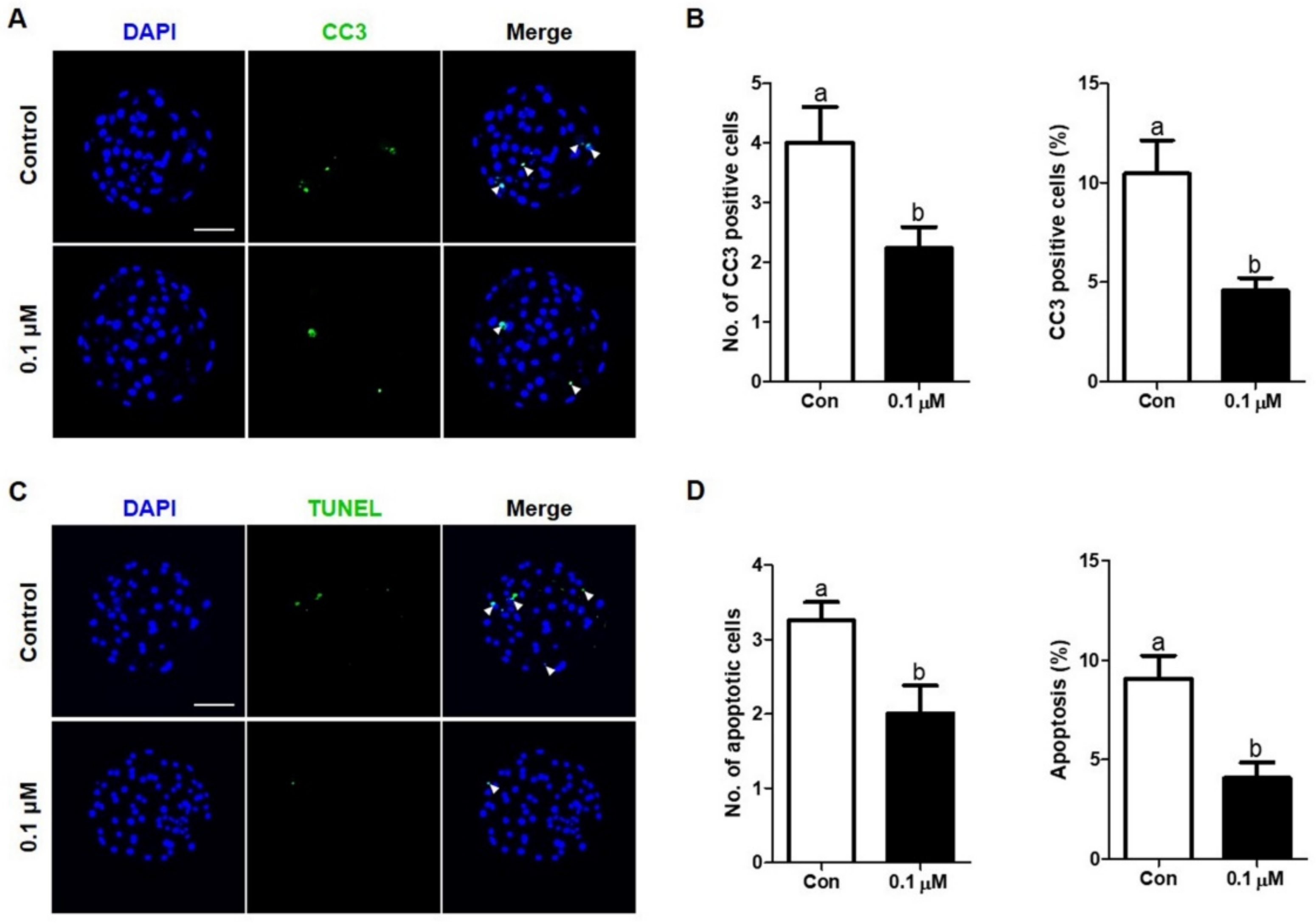 Antioxidants 10 00230 g006 Antioxidants 10 00230 g006