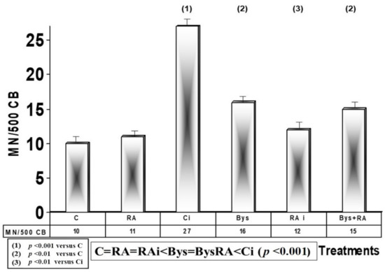 In Vivo Rat Micronucleus Test - STEMart