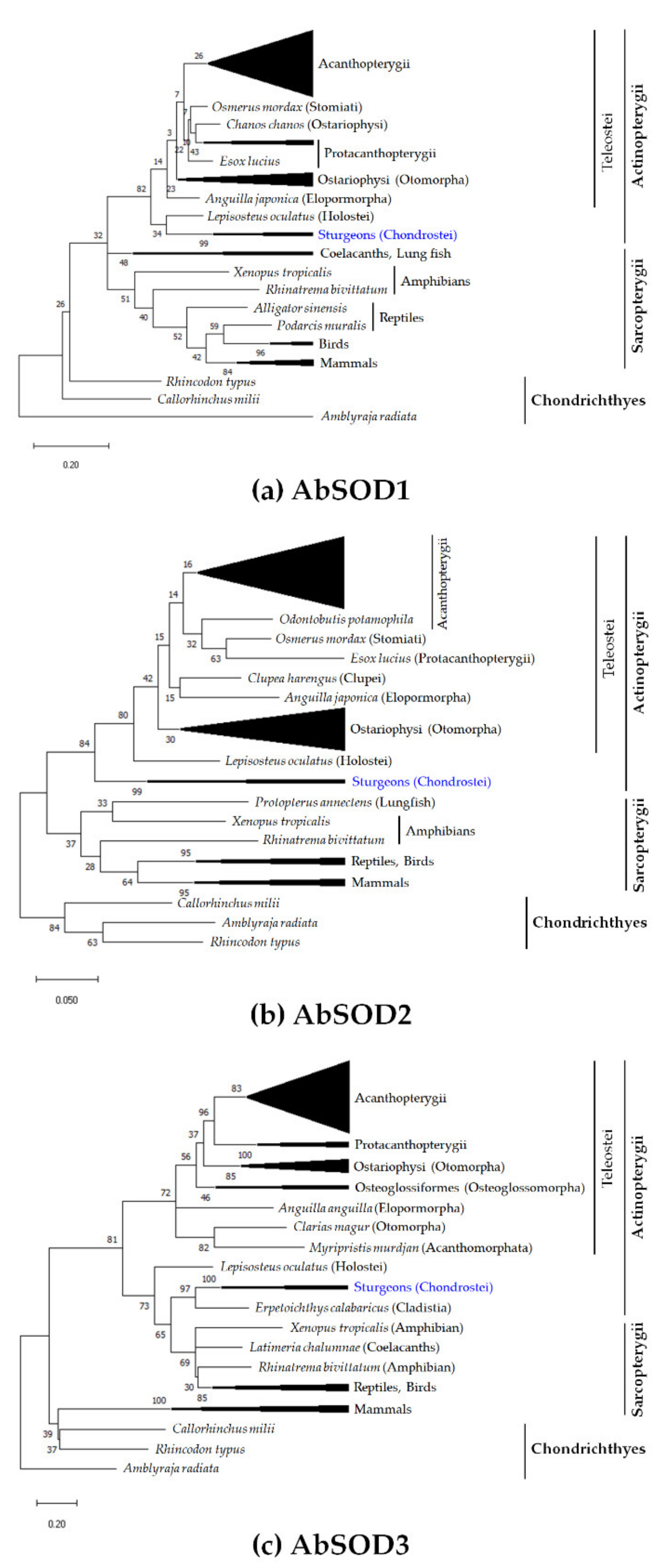 Antioxidants 10 00232 g002 Antioxidants 10 00232 g002
