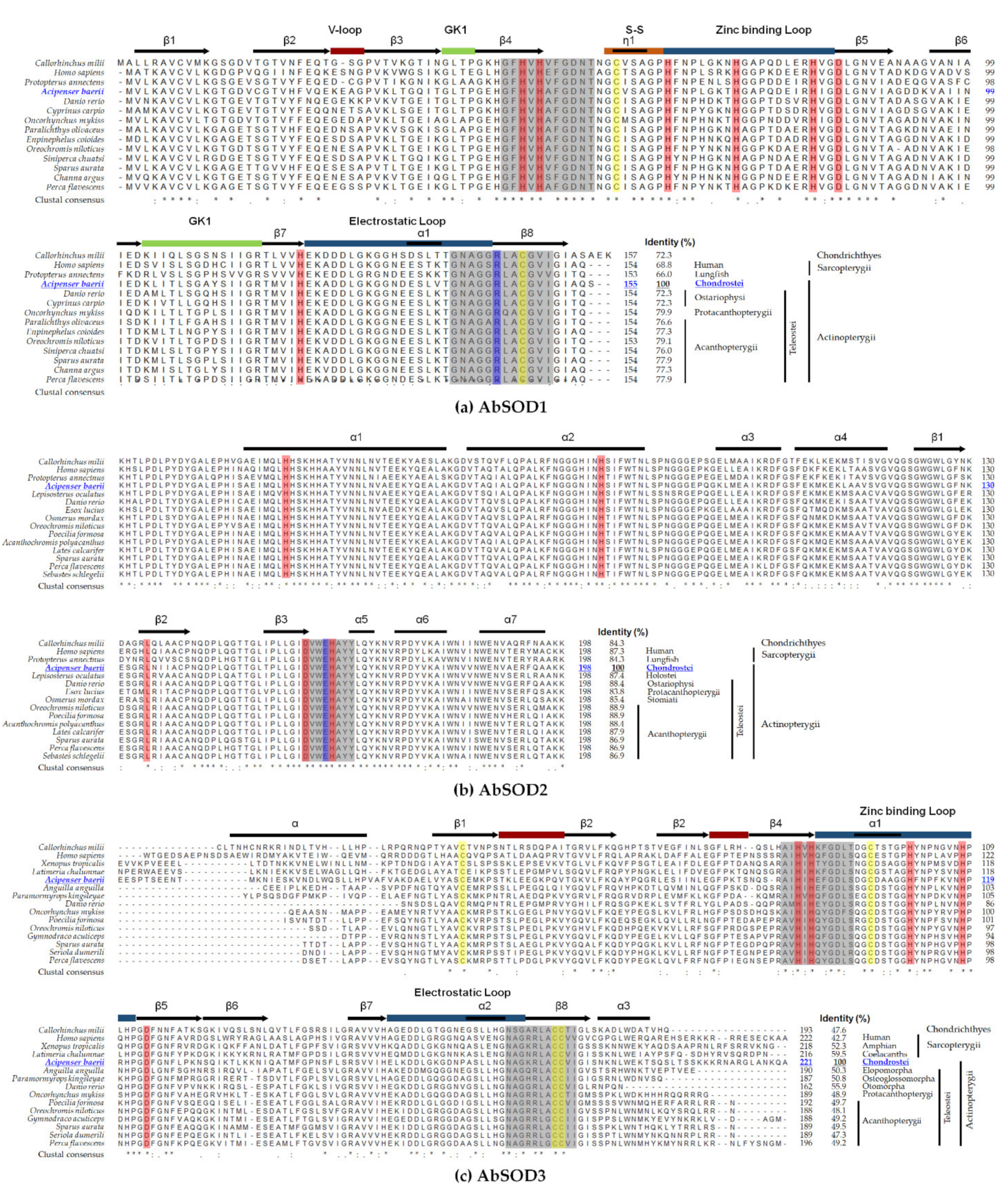 Antioxidants 10 00232 g003 Antioxidants 10 00232 g003