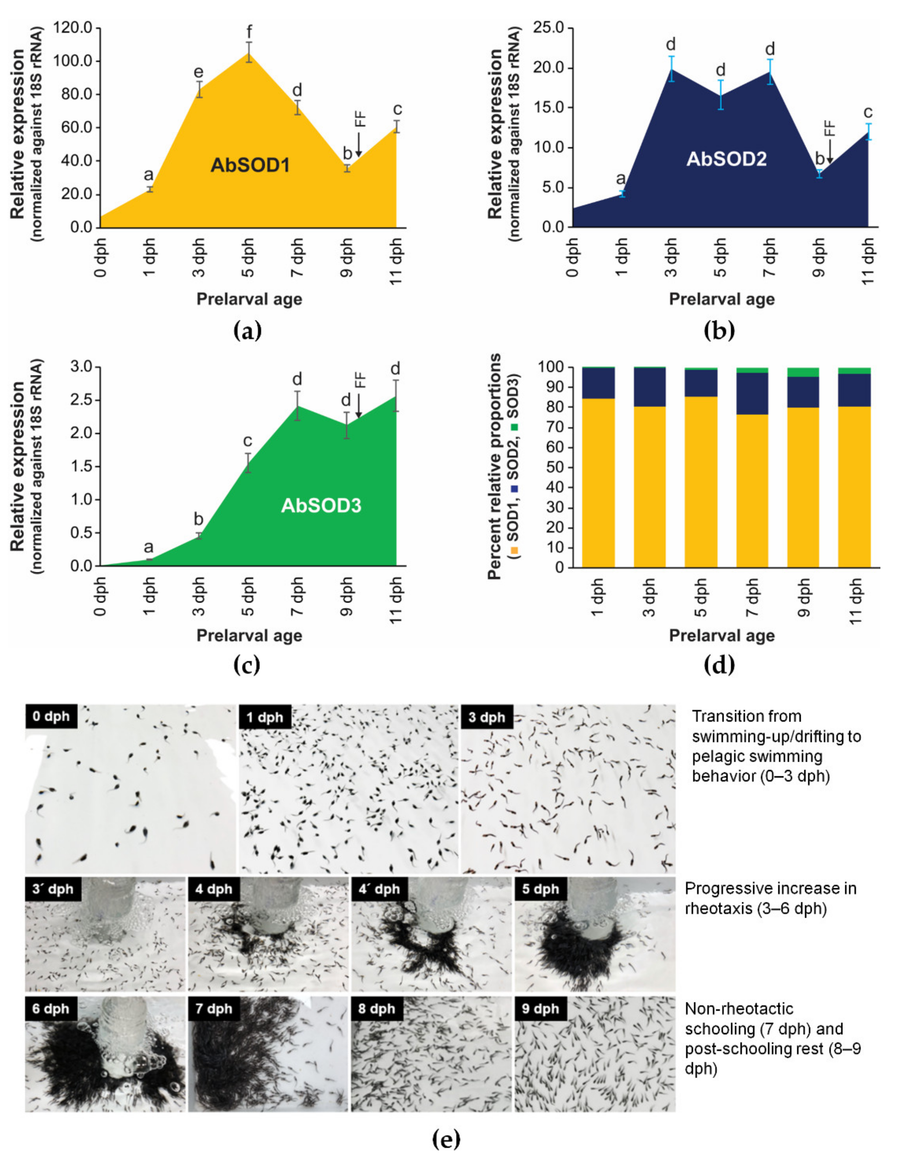 Antioxidants 10 00232 g006 Antioxidants 10 00232 g006