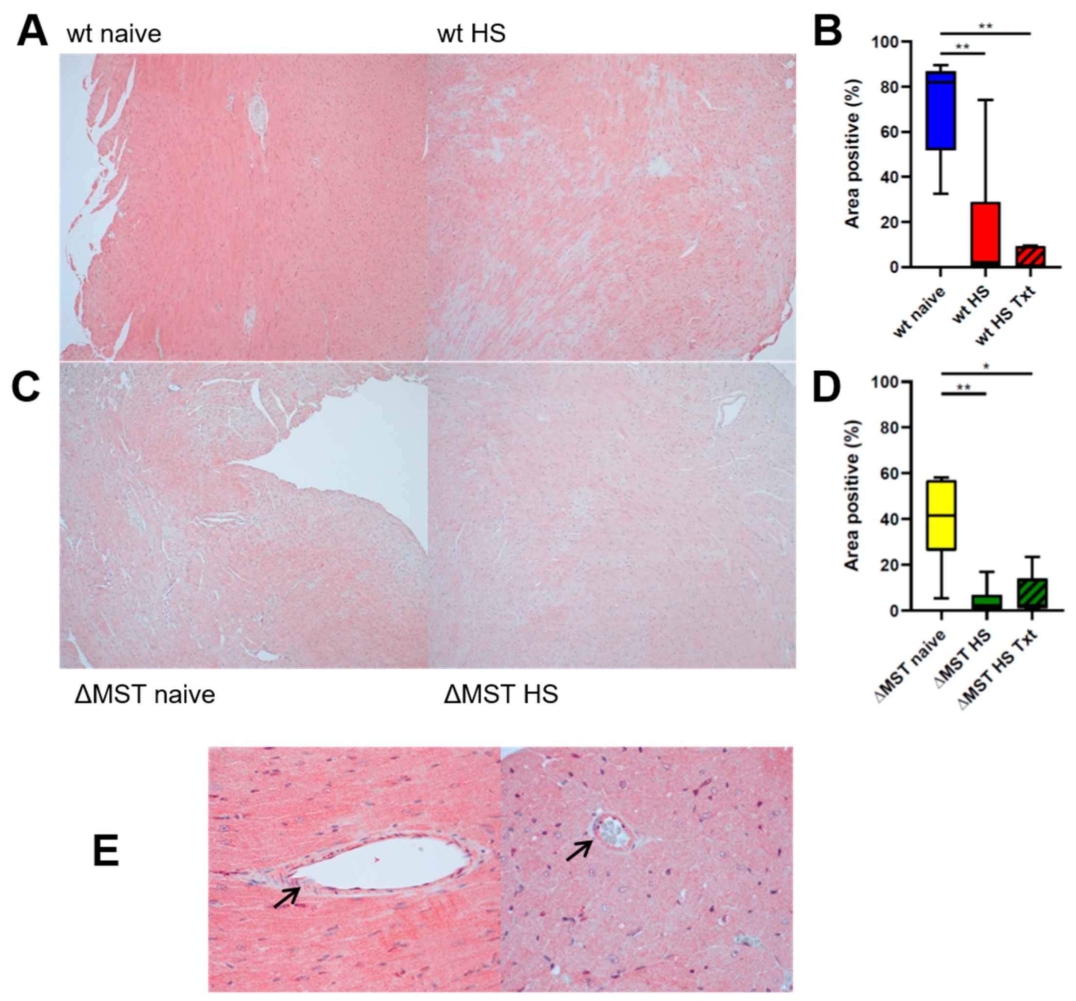 Antioxidants 10 00233 g001 Antioxidants 10 00233 g001