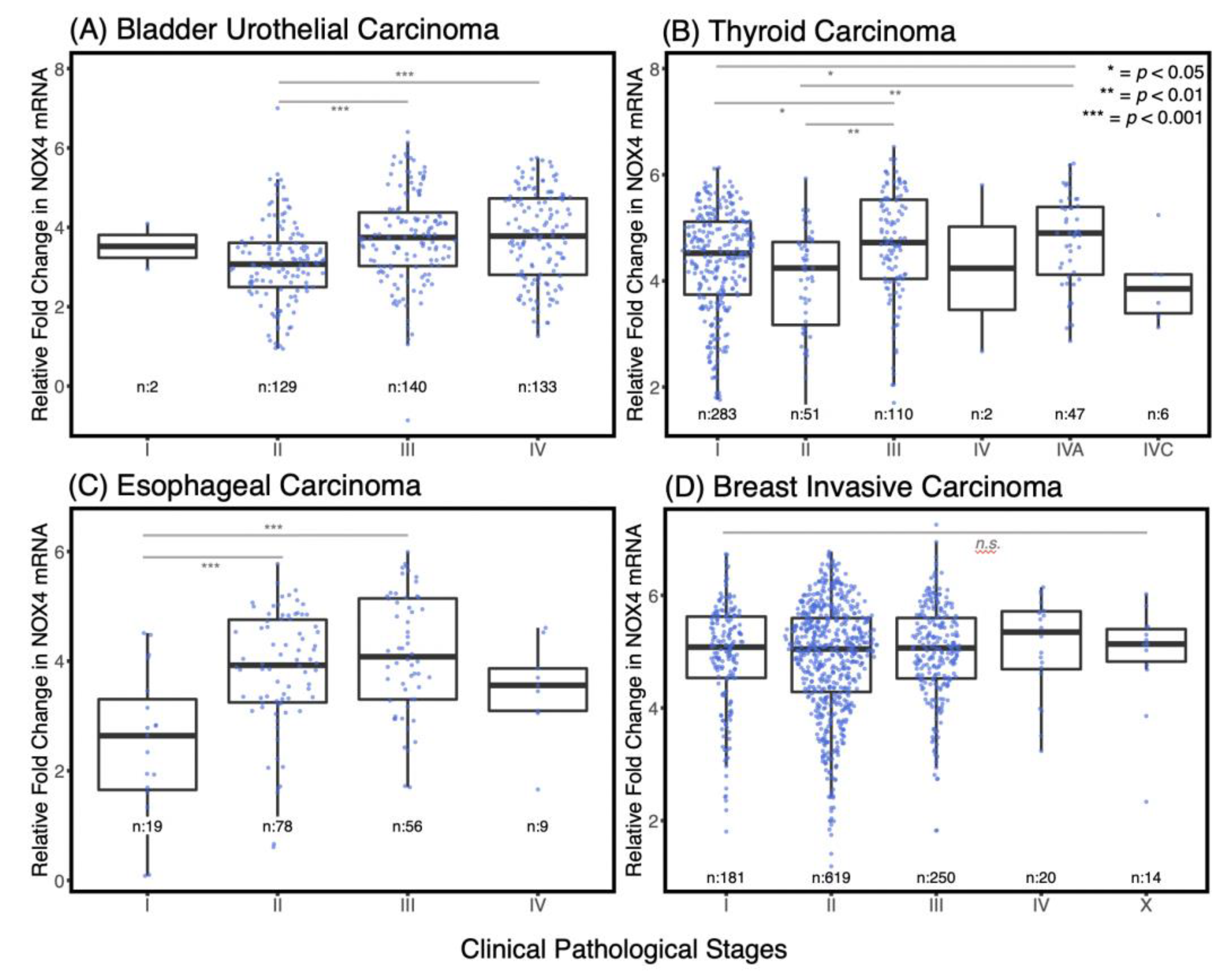 Antioxidants 10 00235 g002 Antioxidants 10 00235 g002